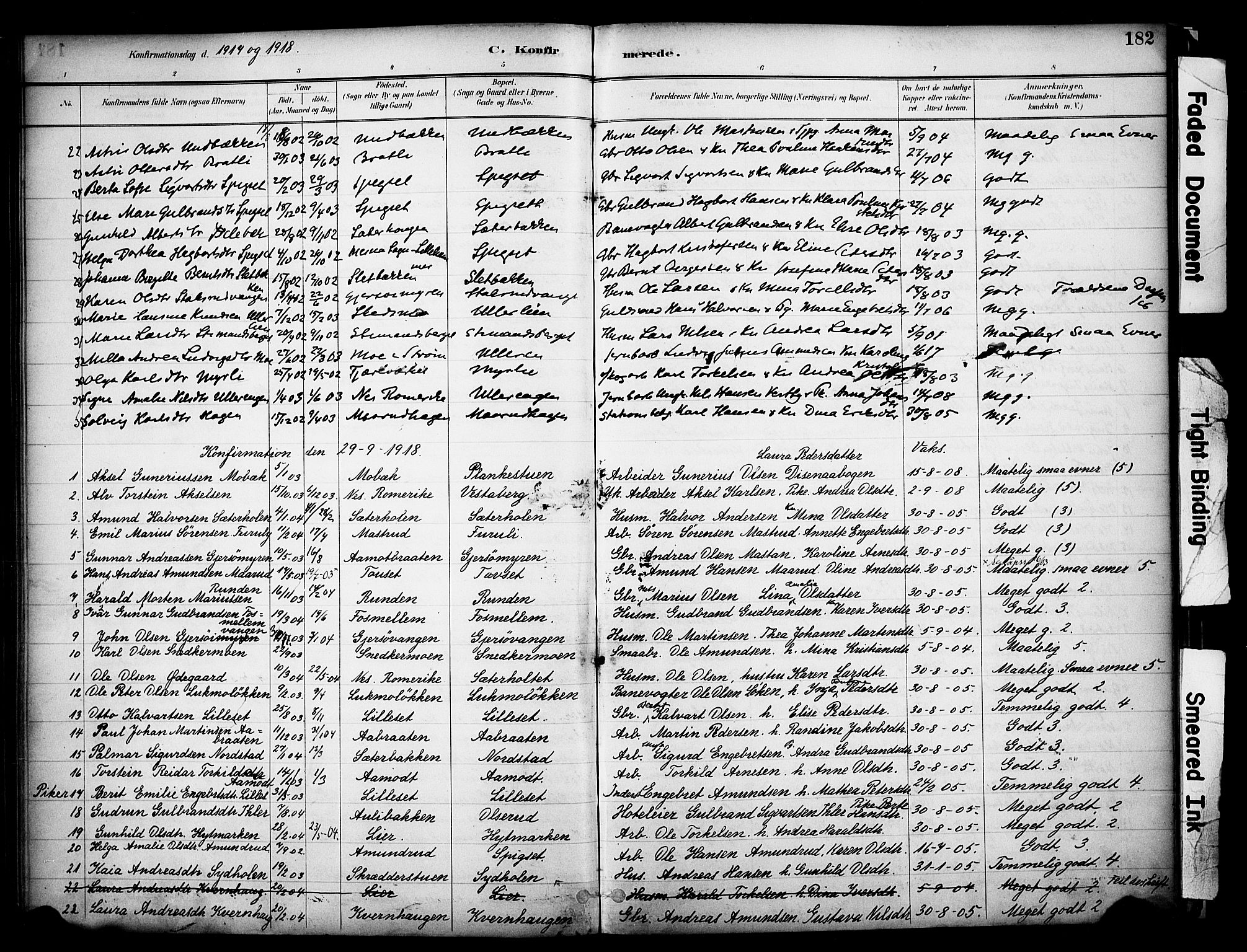 Sør-Odal prestekontor, AV/SAH-PREST-030/H/Ha/Haa/L0008: Parish register (official) no. 8, 1886-1922, p. 182
