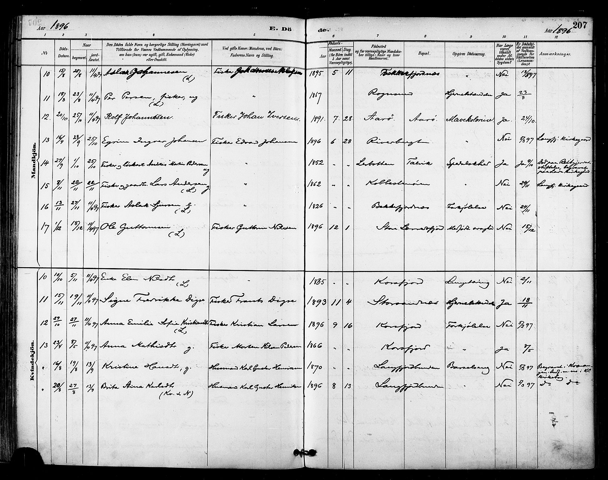 Talvik sokneprestkontor, AV/SATØ-S-1337/H/Ha/L0013kirke: Parish register (official) no. 13, 1886-1897, p. 207