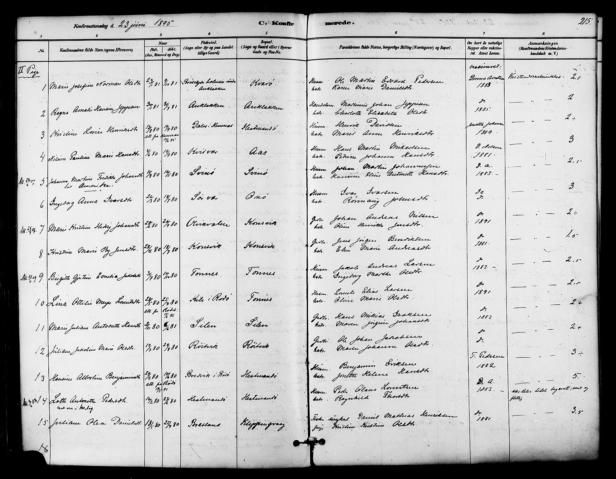 Ministerialprotokoller, klokkerbøker og fødselsregistre - Nordland, AV/SAT-A-1459/839/L0568: Parish register (official) no. 839A05, 1880-1902, p. 215