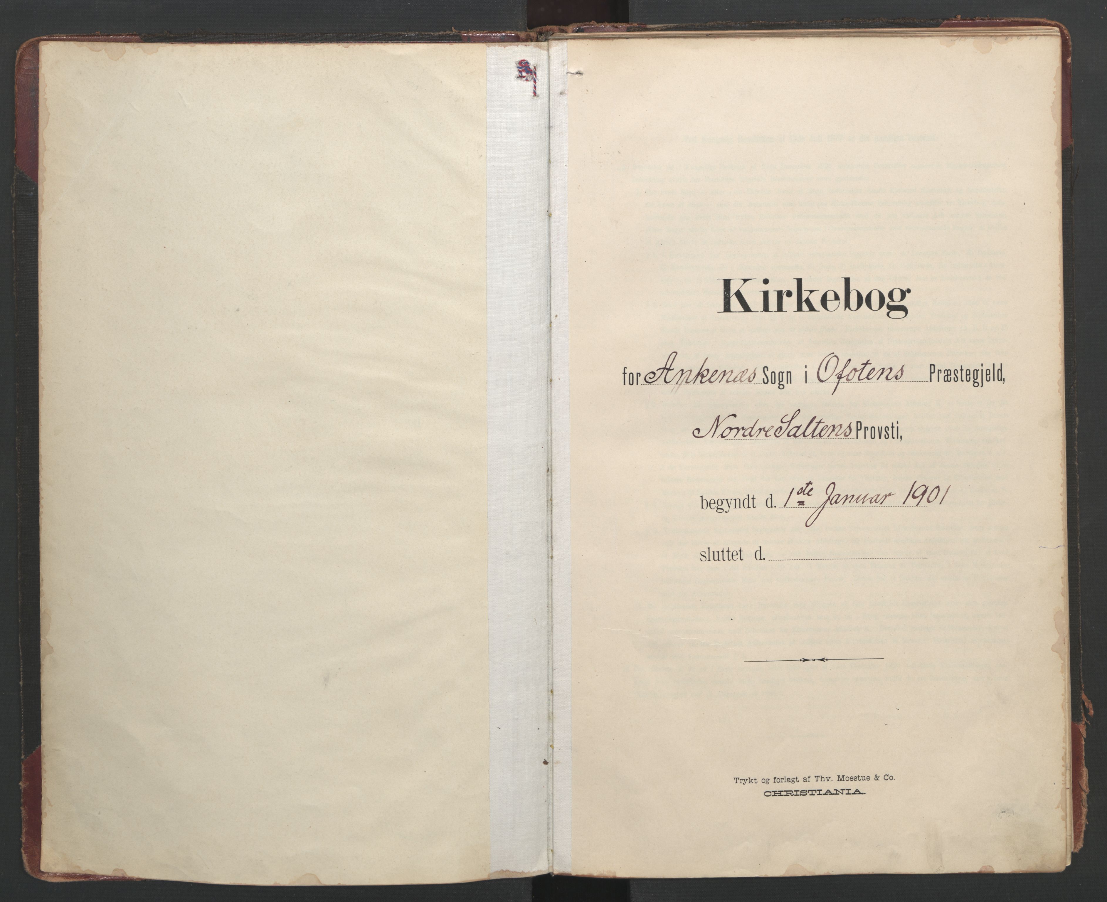 Ministerialprotokoller, klokkerbøker og fødselsregistre - Nordland, AV/SAT-A-1459/866/L0942: Parish register (official) no. 866A05, 1901-1928