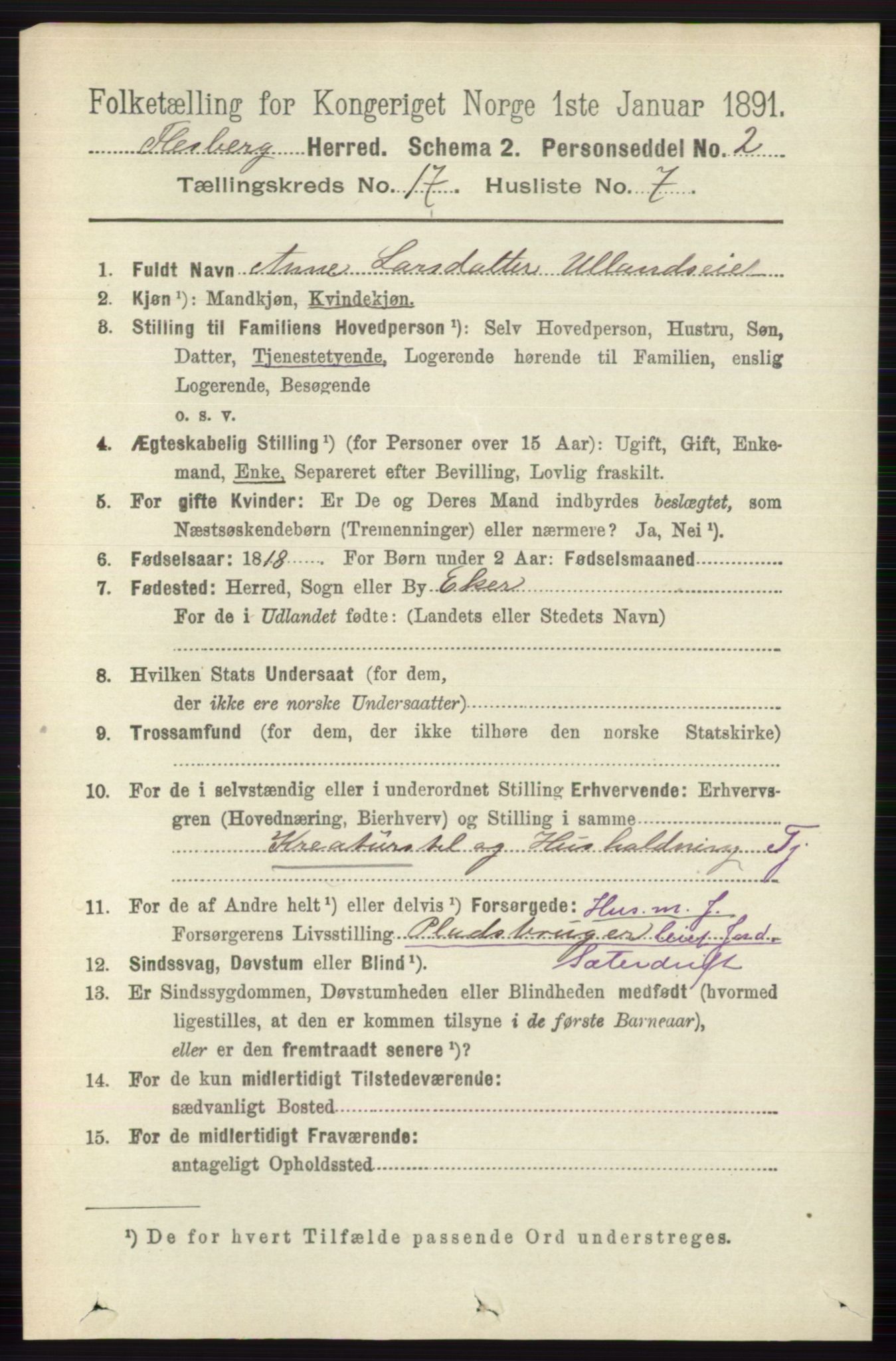 RA, 1891 census for 0631 Flesberg, 1891, p. 3027