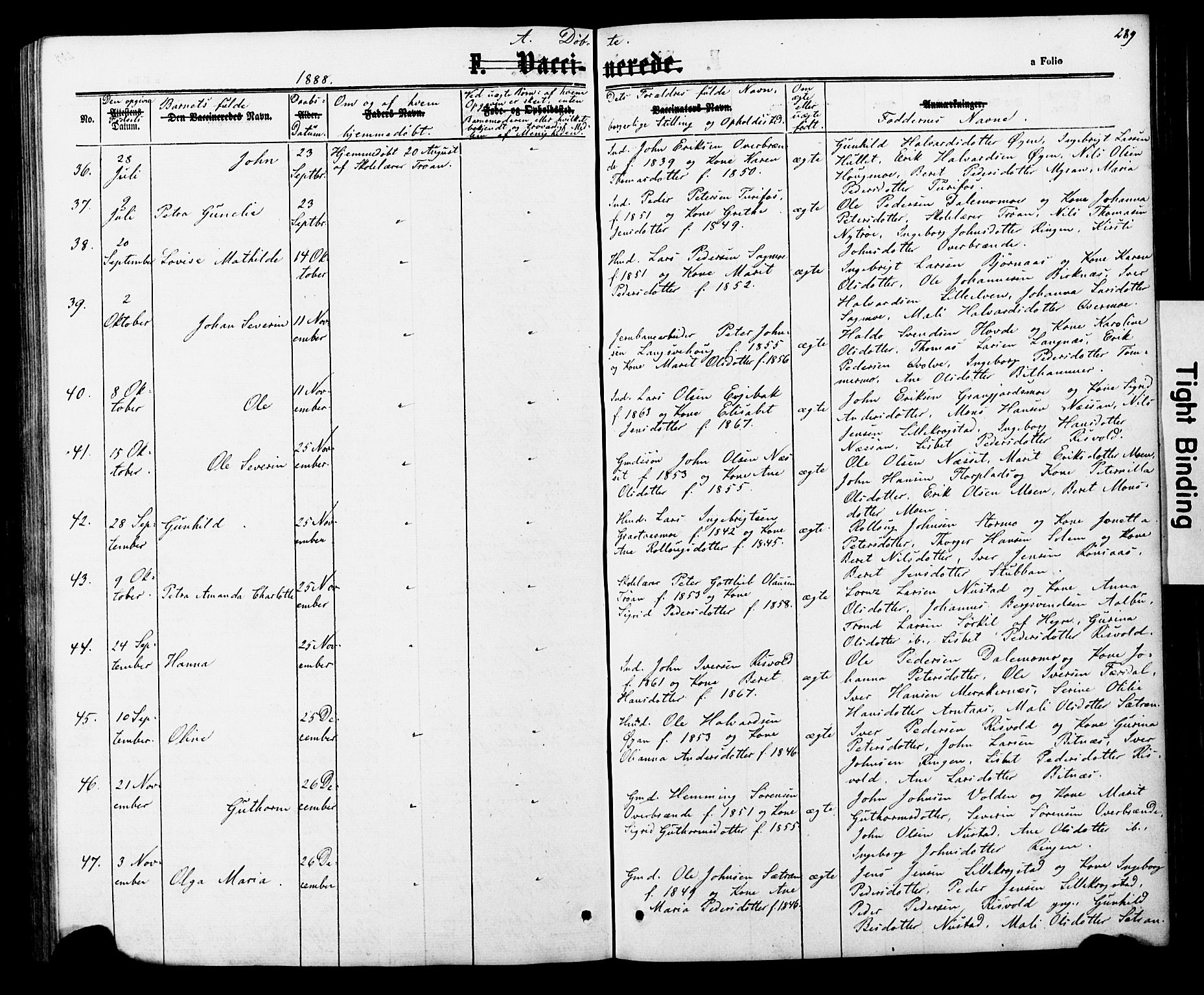 Ministerialprotokoller, klokkerbøker og fødselsregistre - Nord-Trøndelag, AV/SAT-A-1458/706/L0049: Parish register (copy) no. 706C01, 1864-1895, p. 289