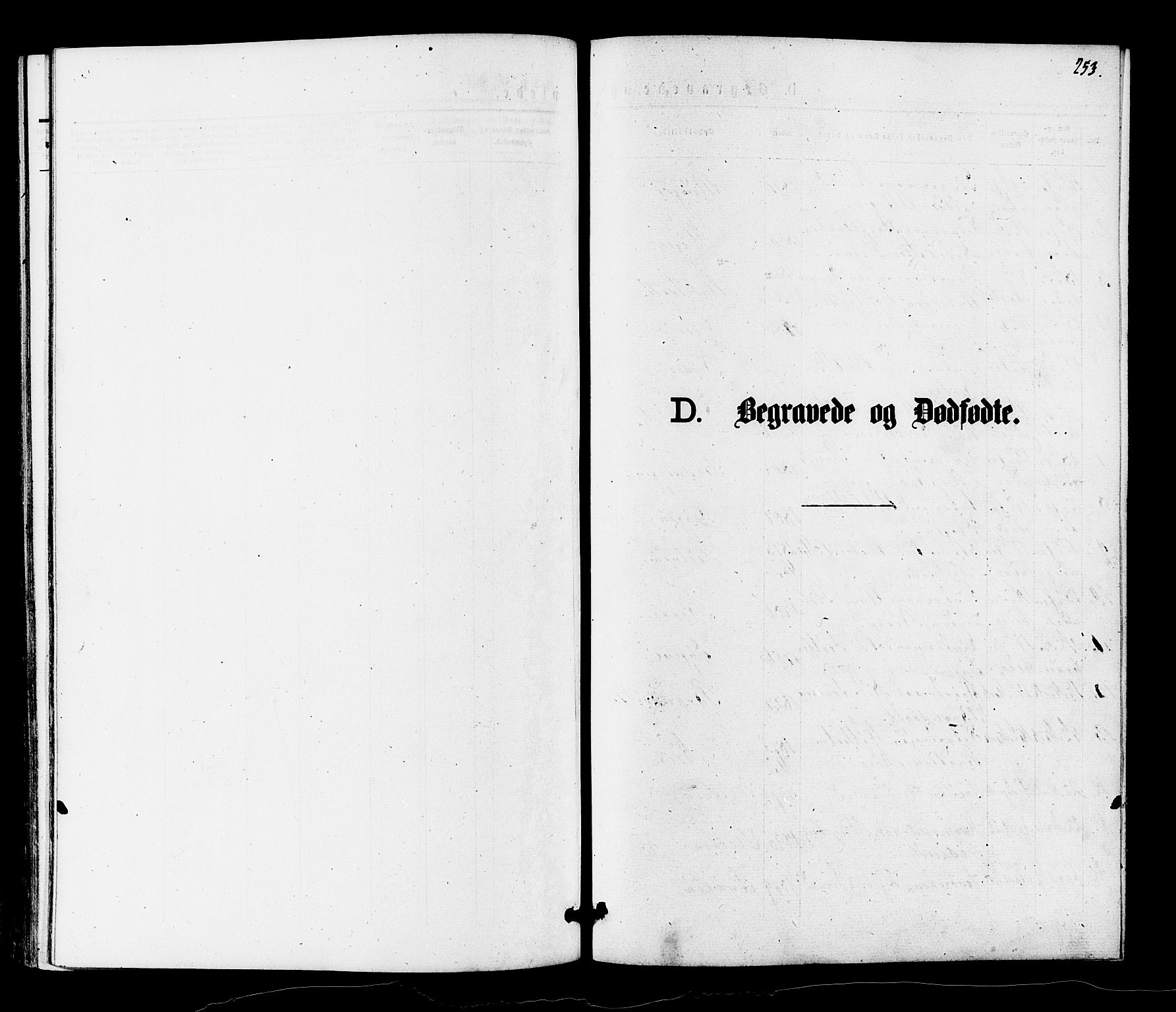Gol kirkebøker, SAKO/A-226/F/Fa/L0004: Parish register (official) no. I 4, 1876-1886, p. 253
