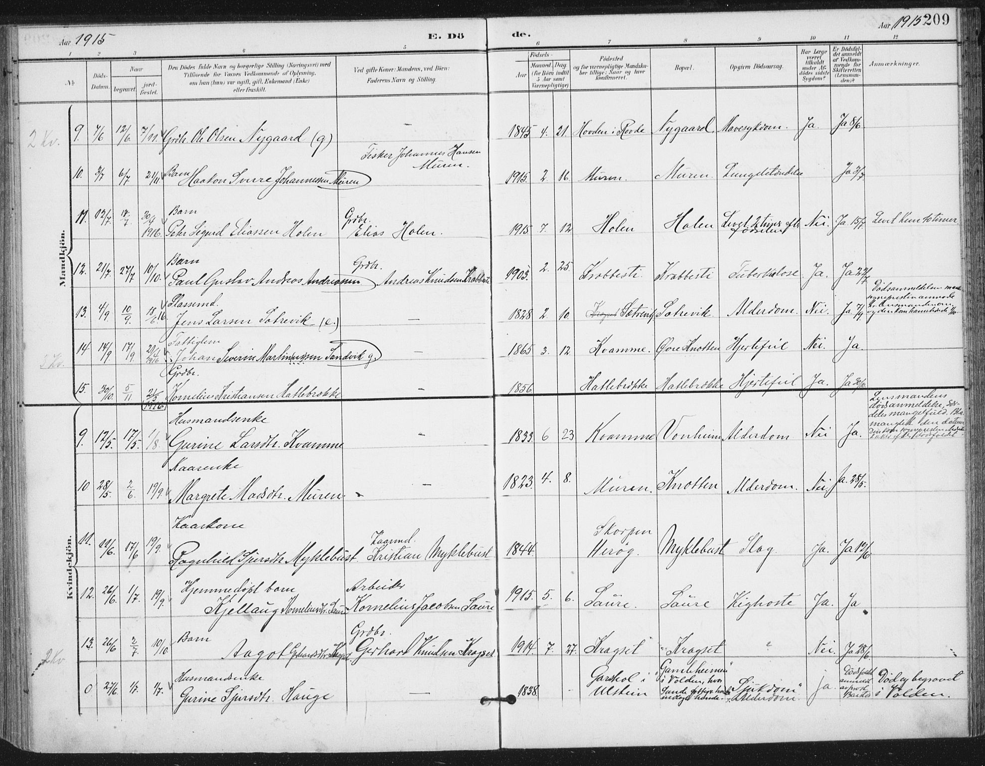 Ministerialprotokoller, klokkerbøker og fødselsregistre - Møre og Romsdal, AV/SAT-A-1454/503/L0038: Parish register (official) no. 503A06, 1901-1917, p. 209