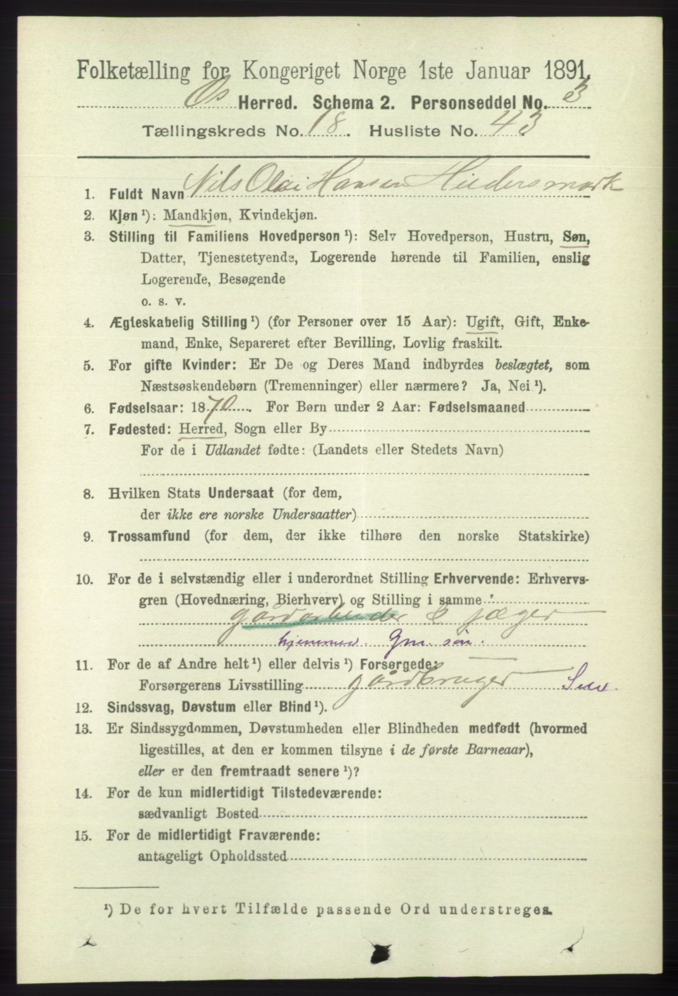 RA, 1891 census for 1243 Os, 1891, p. 4158