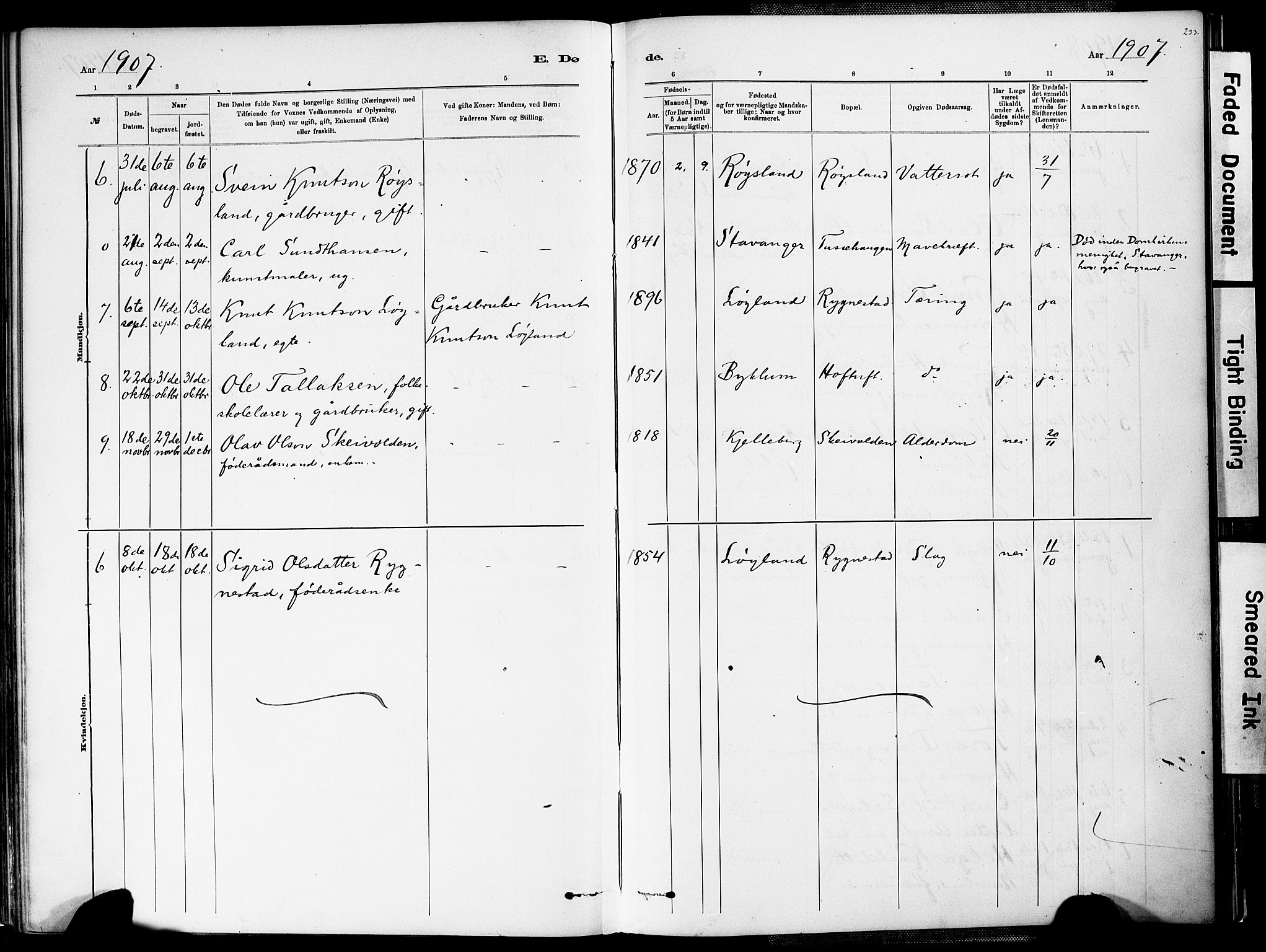 Valle sokneprestkontor, AV/SAK-1111-0044/F/Fa/Fac/L0009: Parish register (official) no. A 9, 1882-1913, p. 233