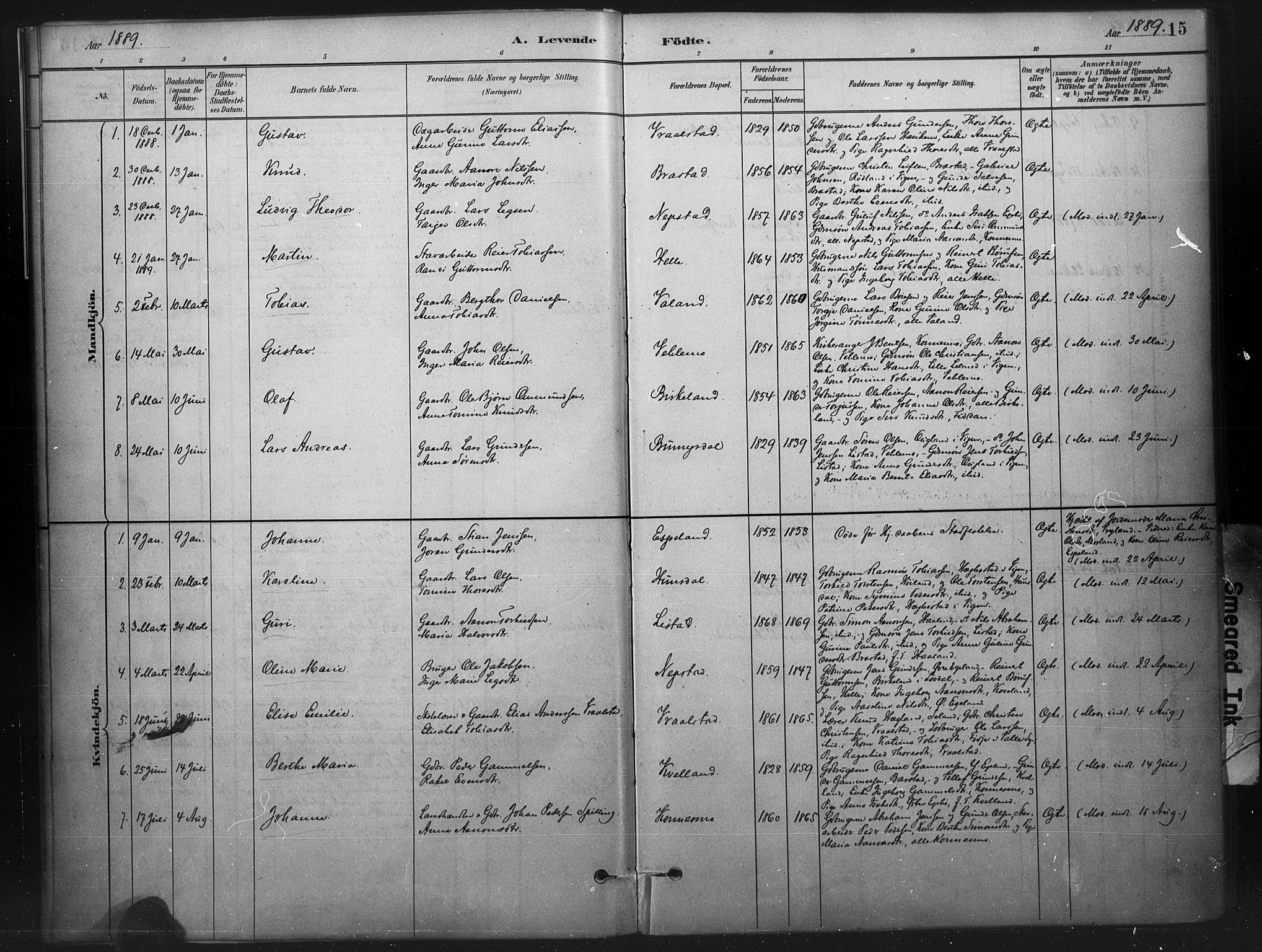 Nord-Audnedal sokneprestkontor, AV/SAK-1111-0032/F/Fa/Faa/L0003: Parish register (official) no. A 3, 1882-1900, p. 15