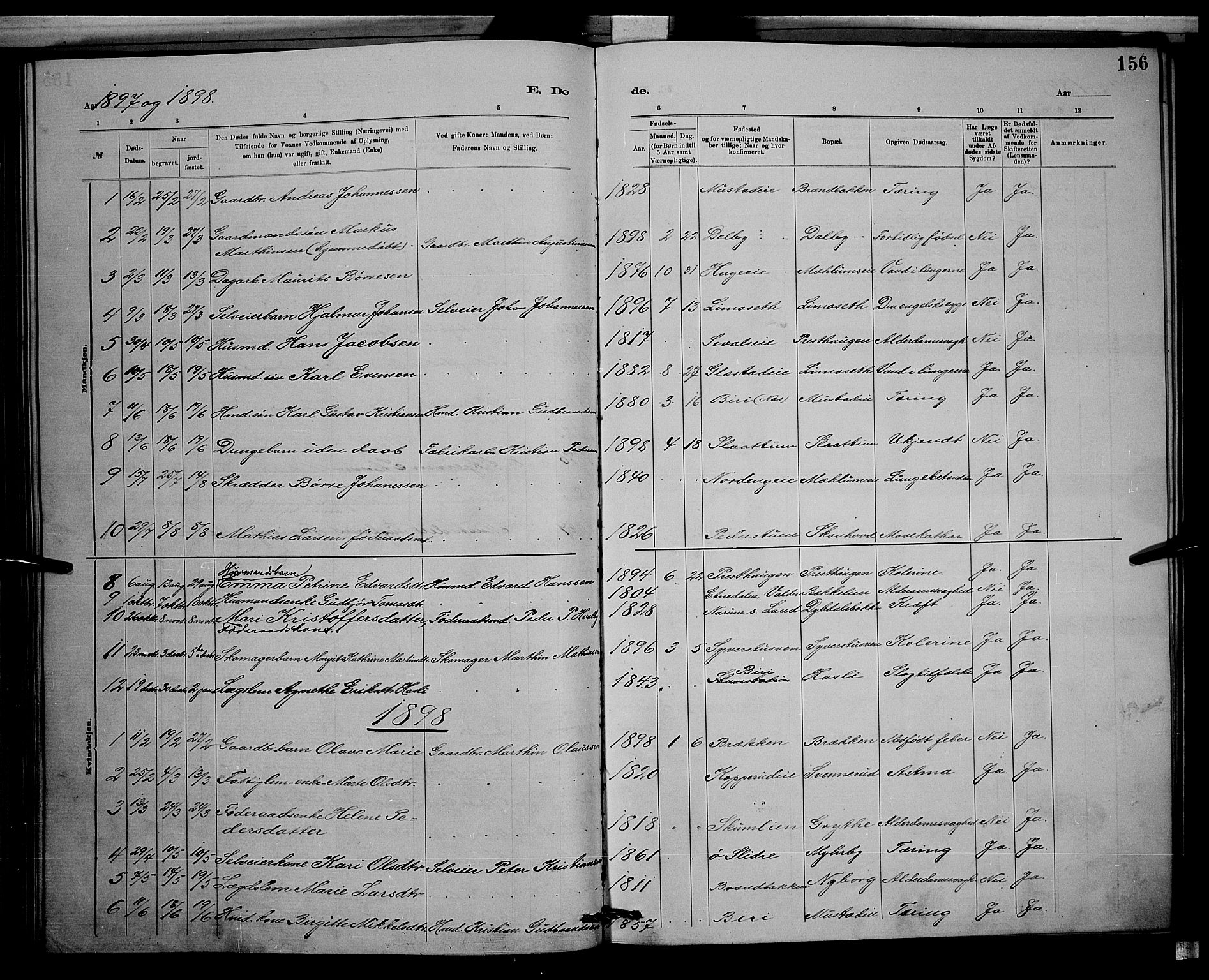 Vardal prestekontor, AV/SAH-PREST-100/H/Ha/Hab/L0008: Parish register (copy) no. 8, 1881-1898, p. 156