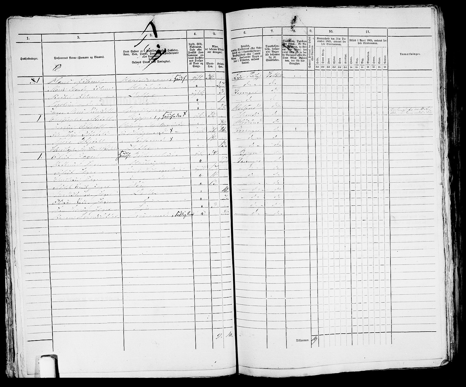 RA, 1865 census for Stavanger, 1865, p. 2051