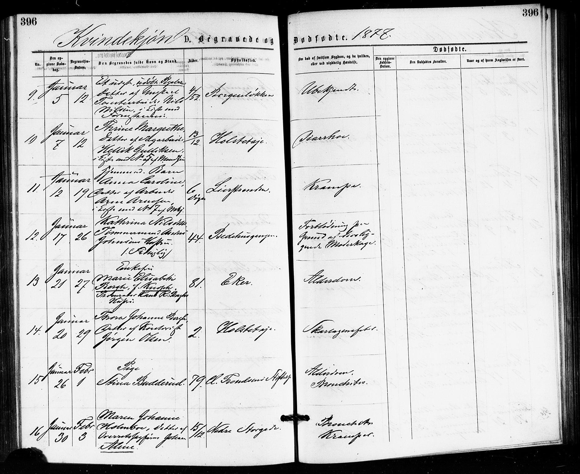 Bragernes kirkebøker, AV/SAKO-A-6/F/Fb/L0005: Parish register (official) no. II 5, 1875-1877, p. 396