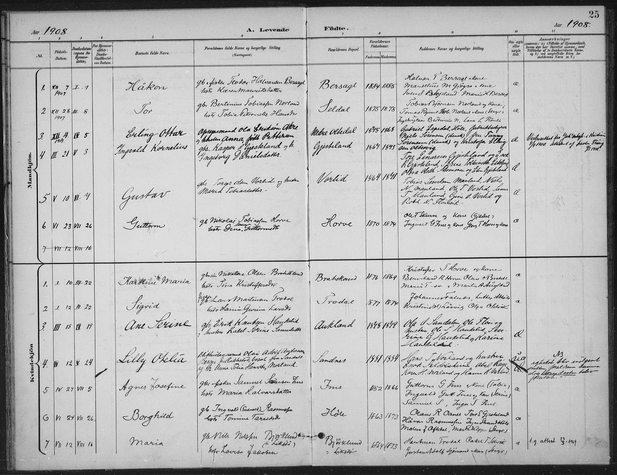 Høgsfjord sokneprestkontor, SAST/A-101624/H/Ha/Haa/L0008: Parish register (official) no. A 8, 1898-1920, p. 25