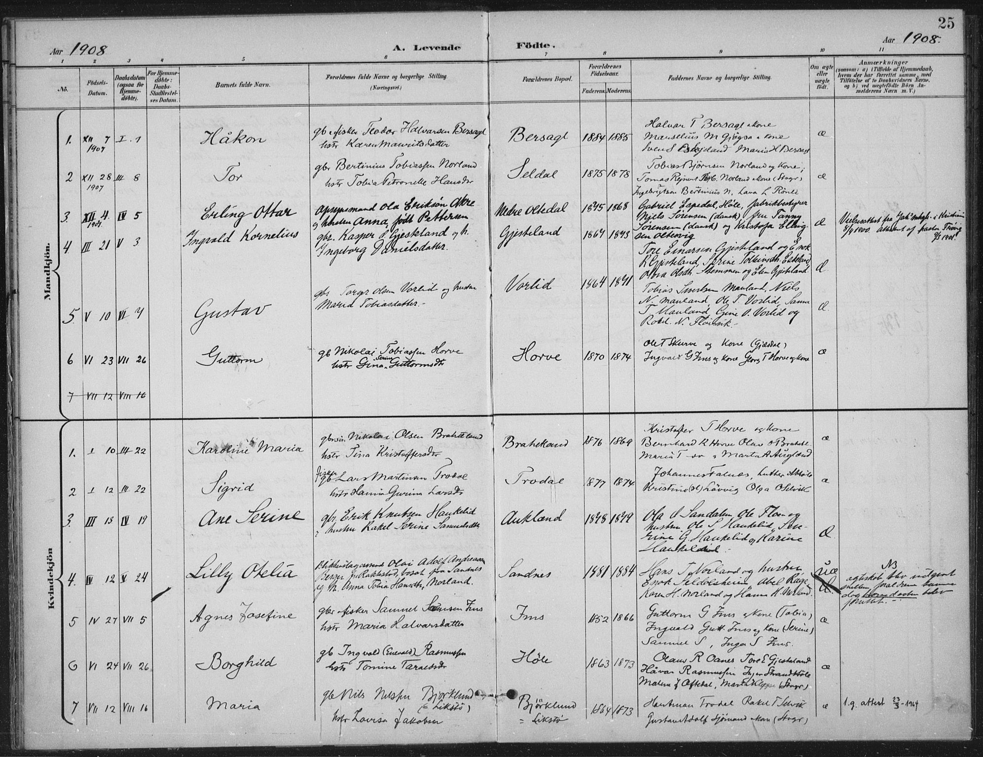 Høgsfjord sokneprestkontor, AV/SAST-A-101624/H/Ha/Haa/L0008: Parish register (official) no. A 8, 1898-1920, p. 25