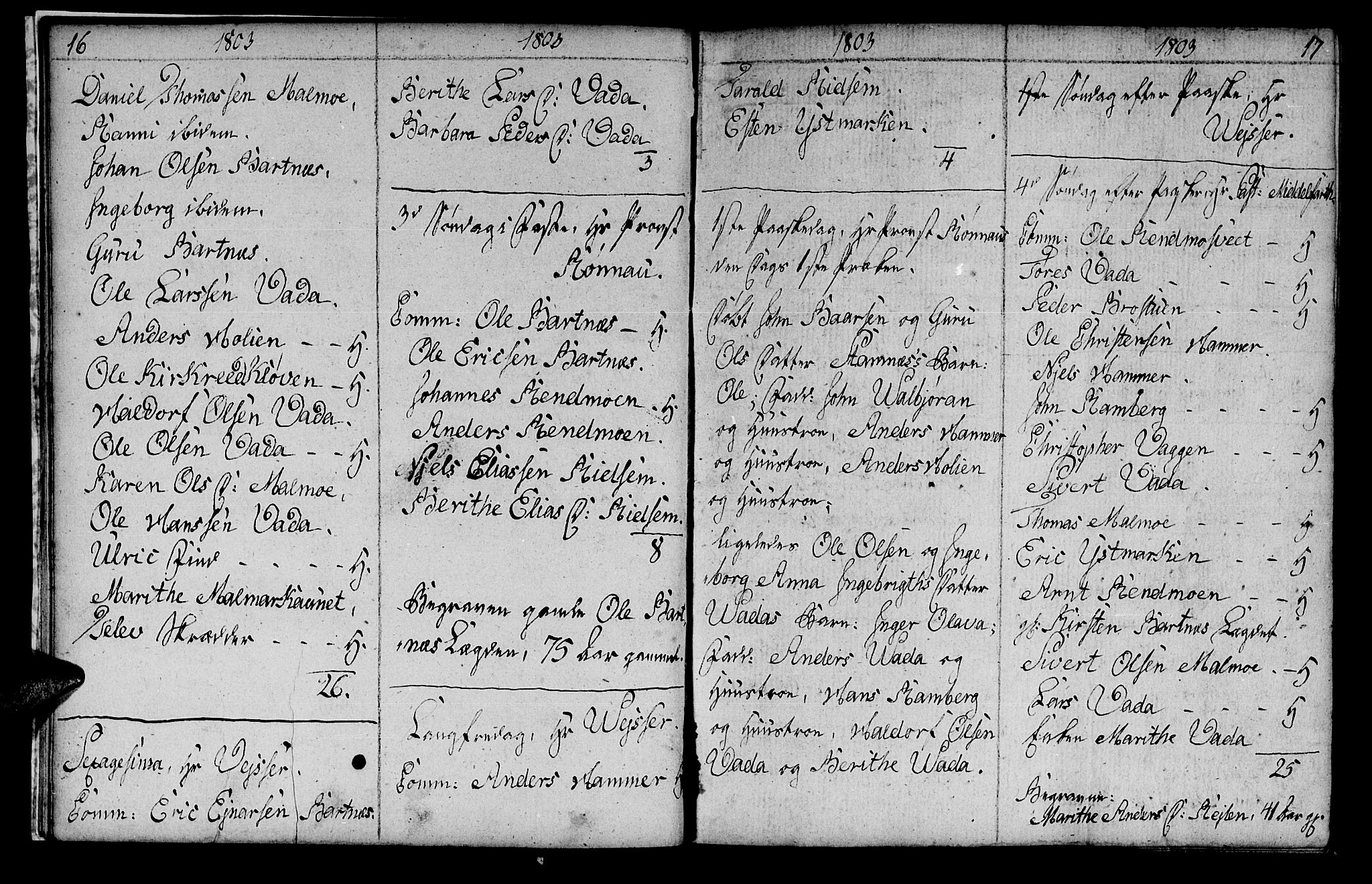 Ministerialprotokoller, klokkerbøker og fødselsregistre - Nord-Trøndelag, SAT/A-1458/745/L0432: Parish register (copy) no. 745C01, 1802-1814, p. 16-17
