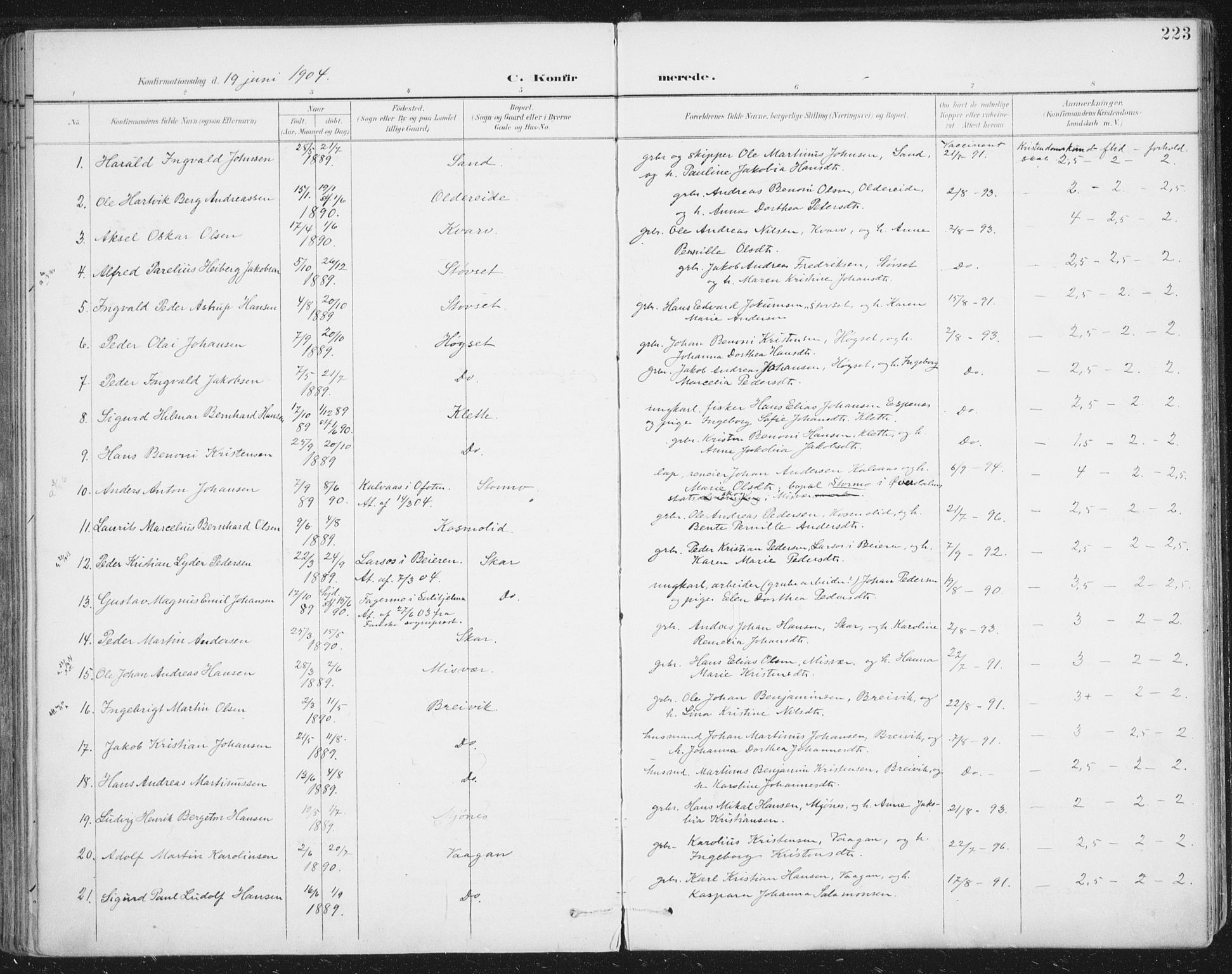 Ministerialprotokoller, klokkerbøker og fødselsregistre - Nordland, SAT/A-1459/852/L0741: Parish register (official) no. 852A11, 1894-1917, p. 223