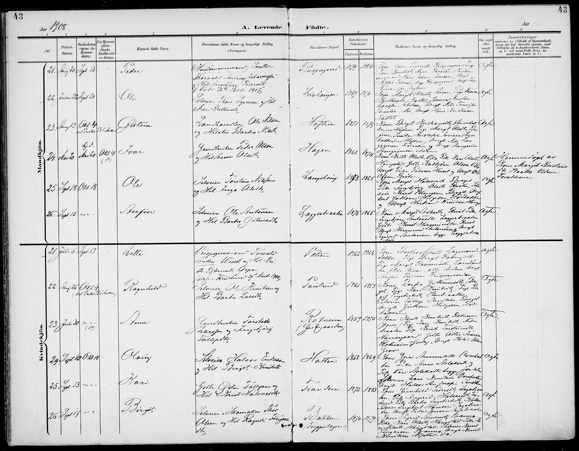 Gol kirkebøker, AV/SAKO-A-226/F/Fa/L0006: Parish register (official) no. I 6, 1901-1918, p. 43