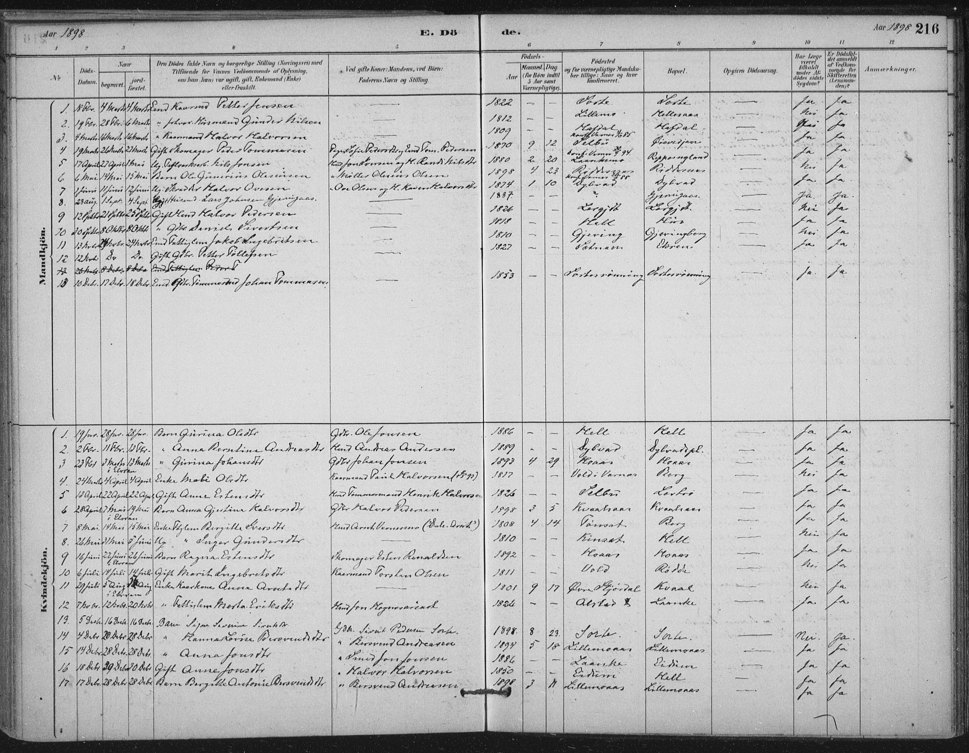 Ministerialprotokoller, klokkerbøker og fødselsregistre - Nord-Trøndelag, SAT/A-1458/710/L0095: Parish register (official) no. 710A01, 1880-1914, p. 216
