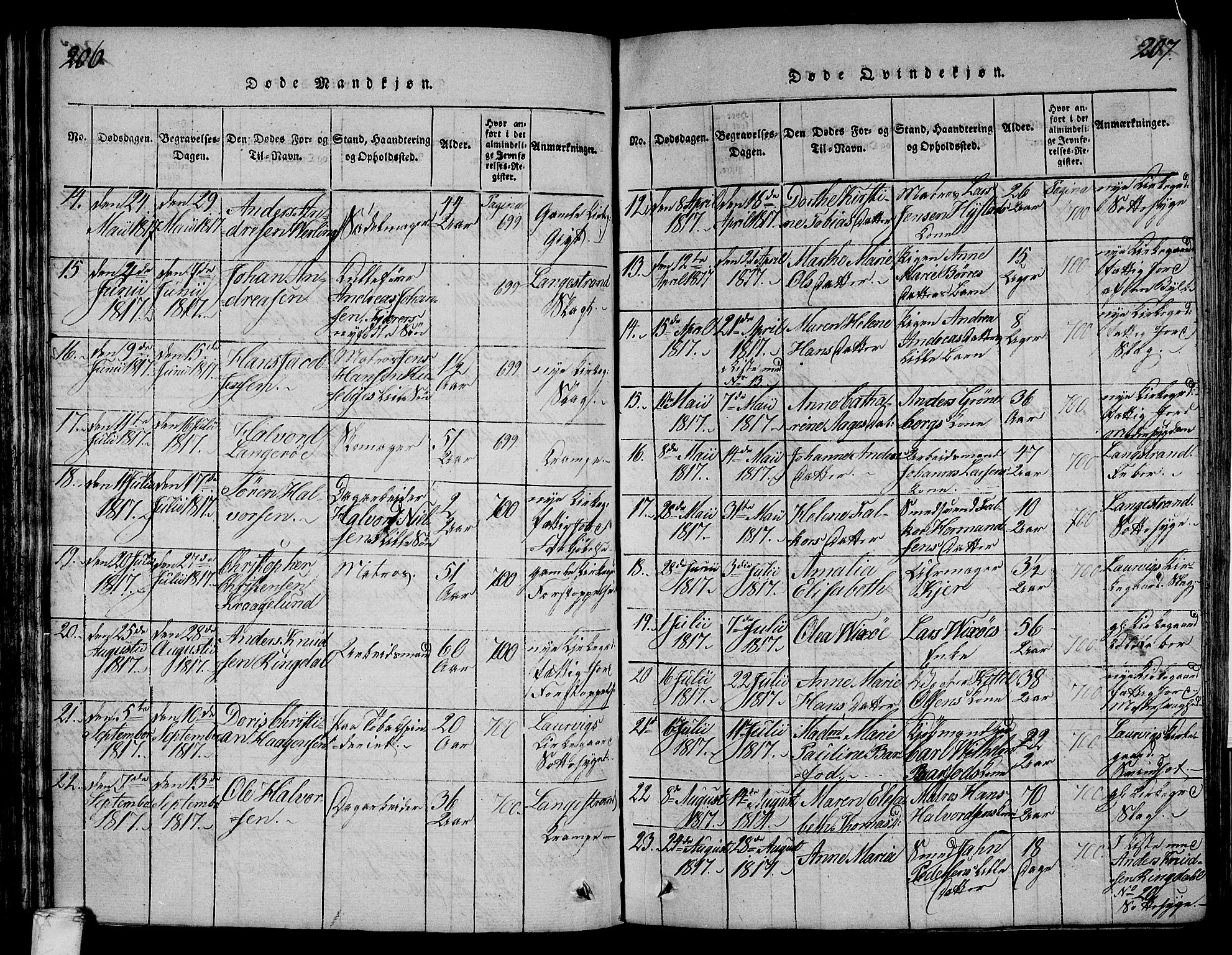 Larvik kirkebøker, AV/SAKO-A-352/F/Fa/L0001: Parish register (official) no. I 1, 1814-1825, p. 206-207