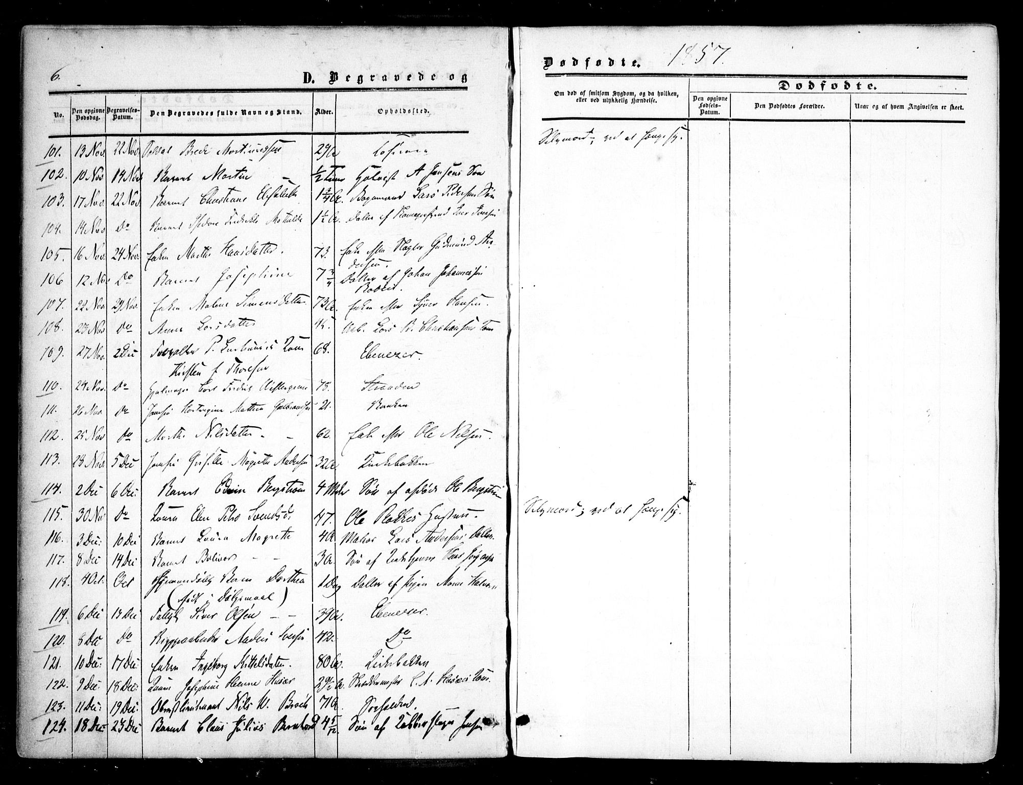 Halden prestekontor Kirkebøker, AV/SAO-A-10909/F/Fa/L0008: Parish register (official) no. I 8, 1857-1865, p. 6