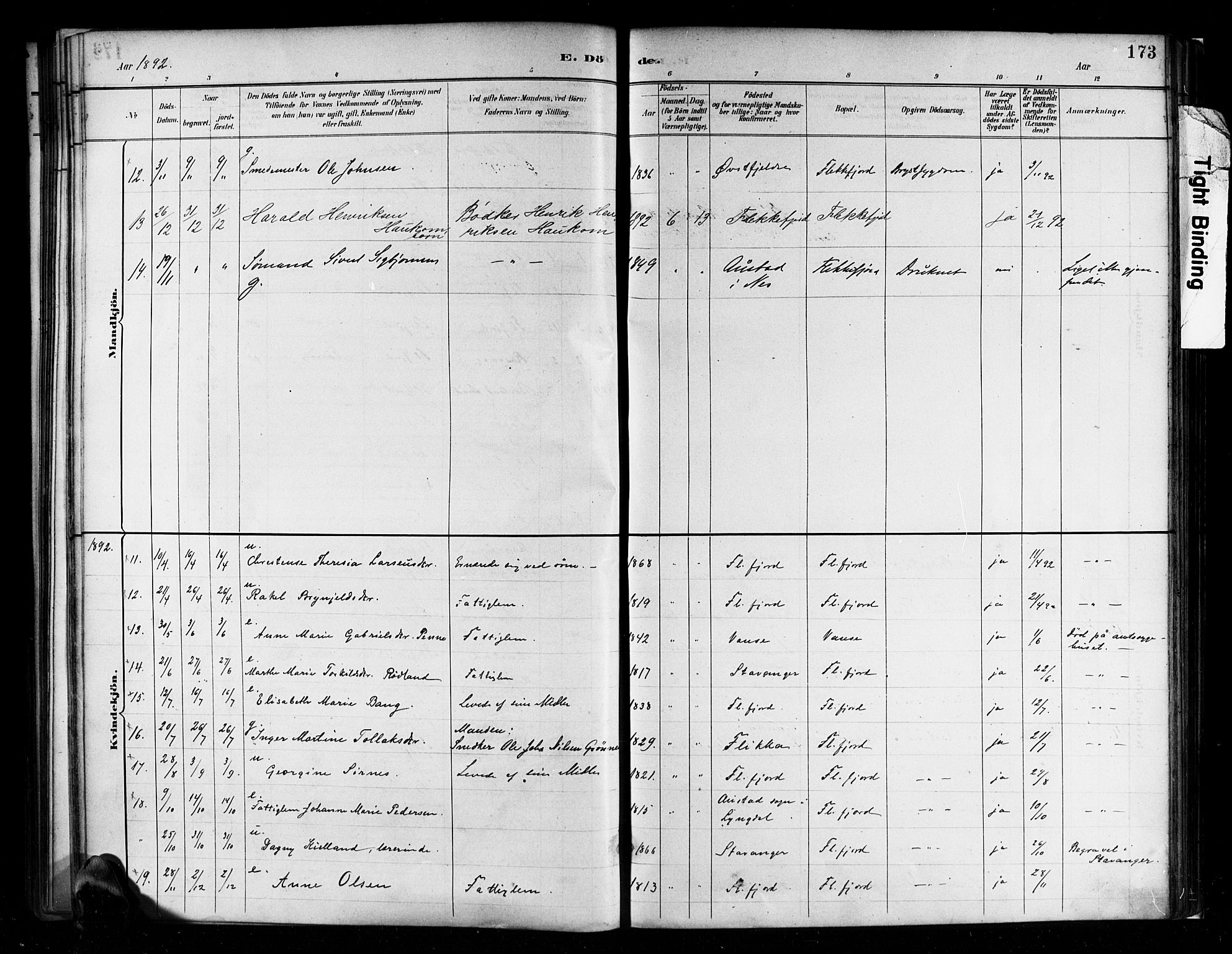 Flekkefjord sokneprestkontor, SAK/1111-0012/F/Fa/Faa/L0001: Parish register (official) no. A 1, 1885-1900, p. 173