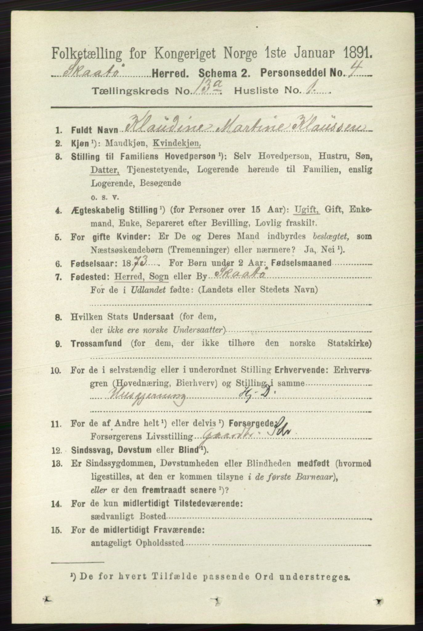 RA, 1891 census for 0815 Skåtøy, 1891, p. 4456