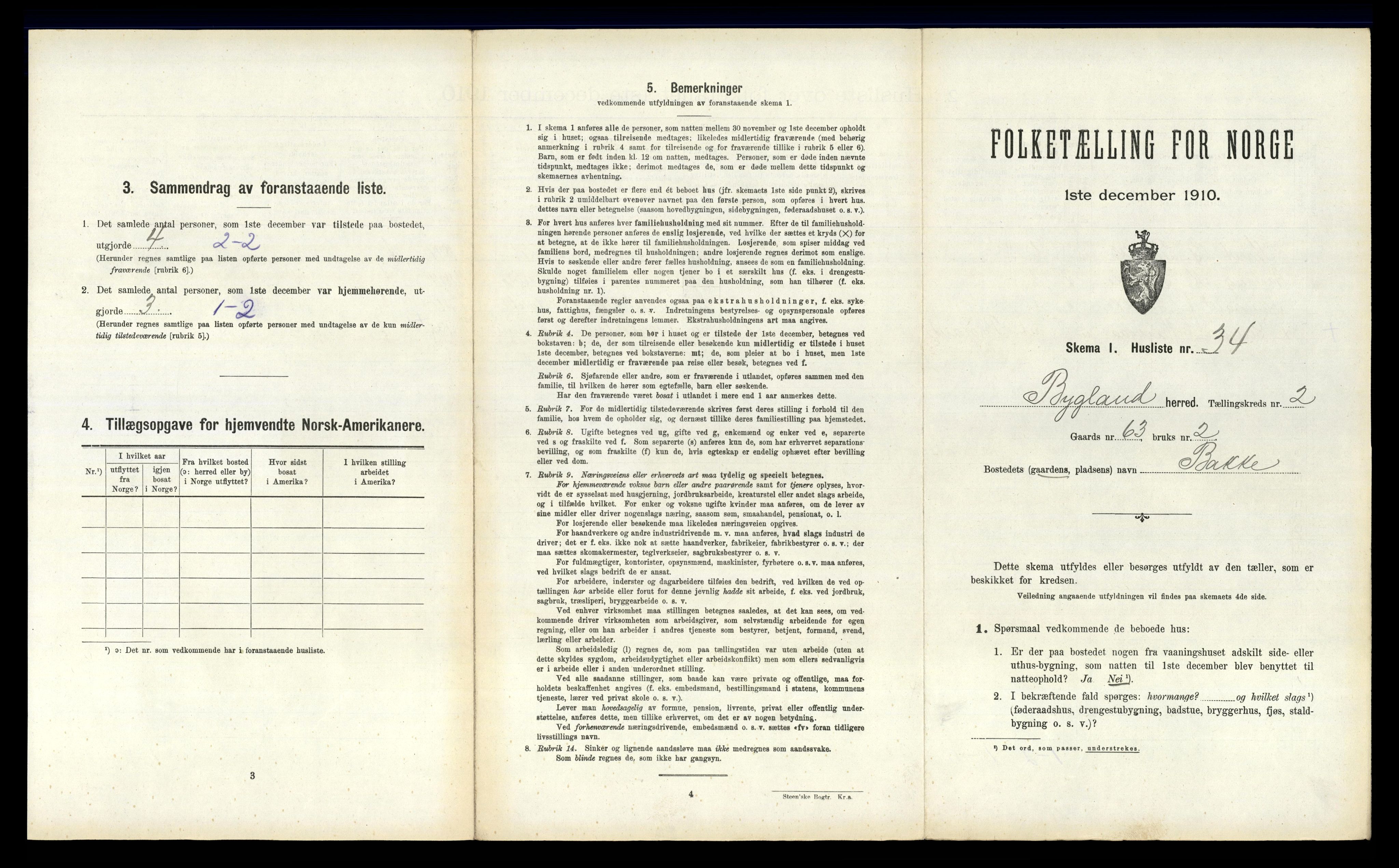 RA, 1910 census for Bygland, 1910, p. 207