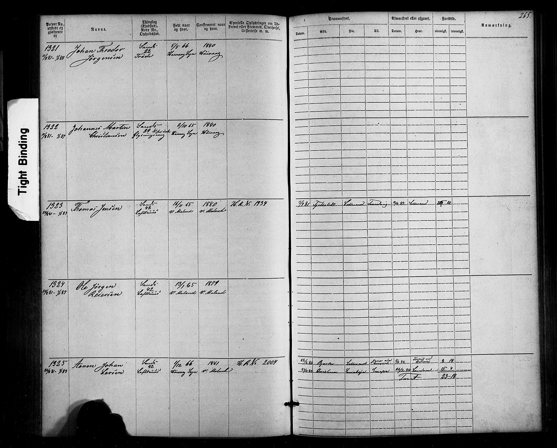 Lillesand mønstringskrets, SAK/2031-0014/F/Fa/L0002: Annotasjonsrulle nr 1-1910 med register, W-8, 1868-1891, p. 271