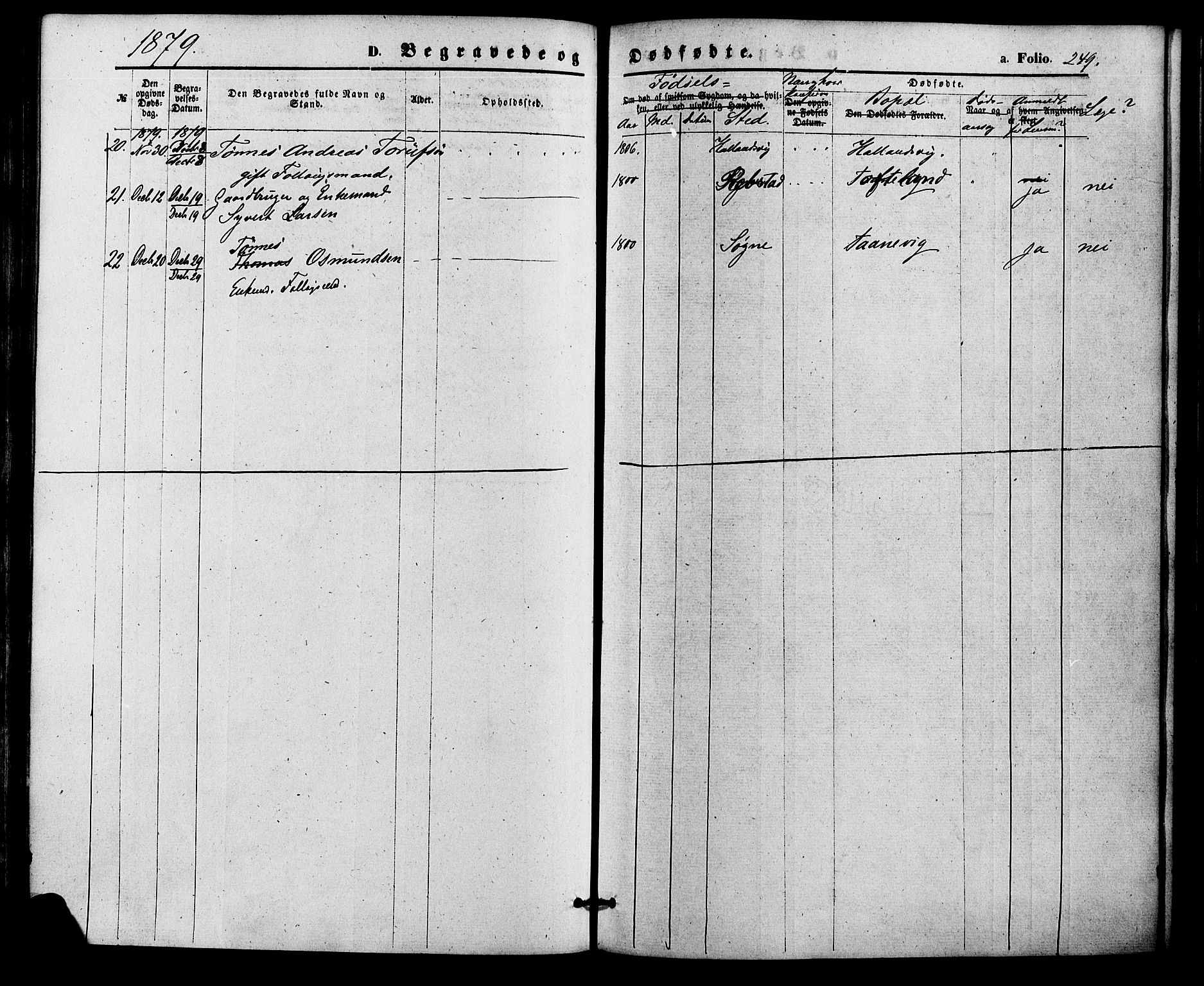 Søgne sokneprestkontor, AV/SAK-1111-0037/F/Fa/Fab/L0011: Parish register (official) no. A 11, 1869-1879, p. 249