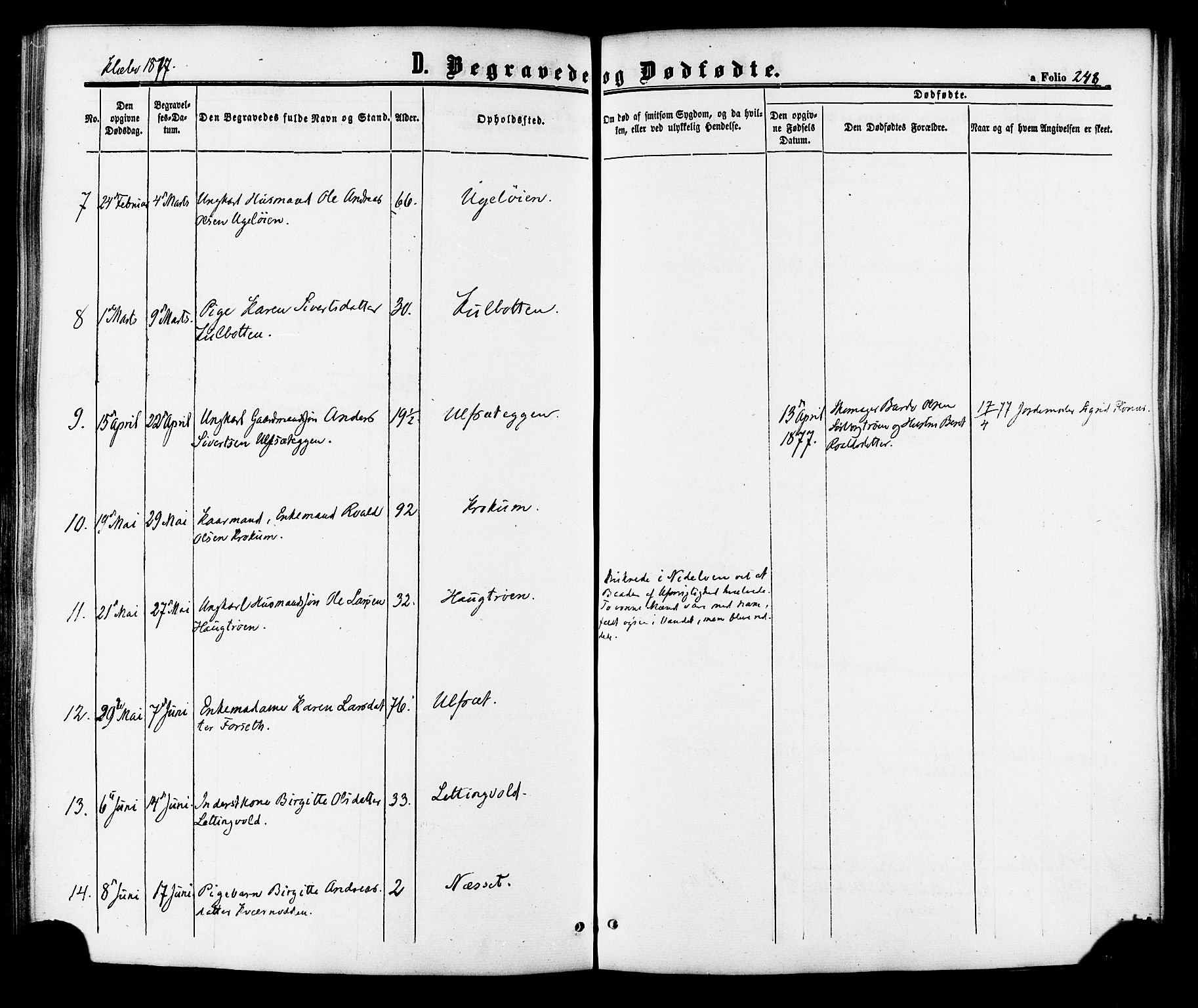 Ministerialprotokoller, klokkerbøker og fødselsregistre - Sør-Trøndelag, SAT/A-1456/618/L0442: Parish register (official) no. 618A06 /1, 1863-1879, p. 248