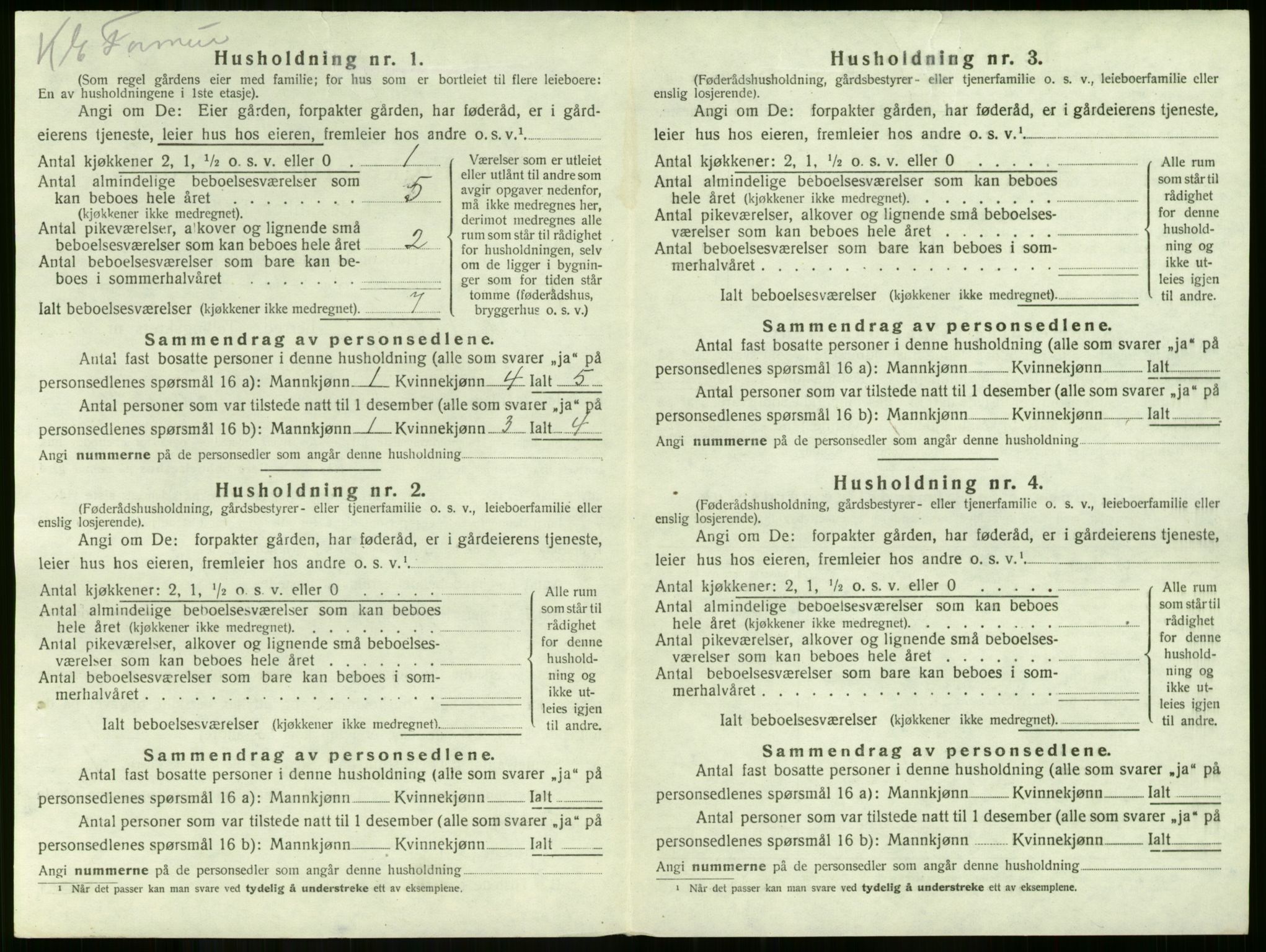 SAKO, 1920 census for Våle, 1920, p. 54