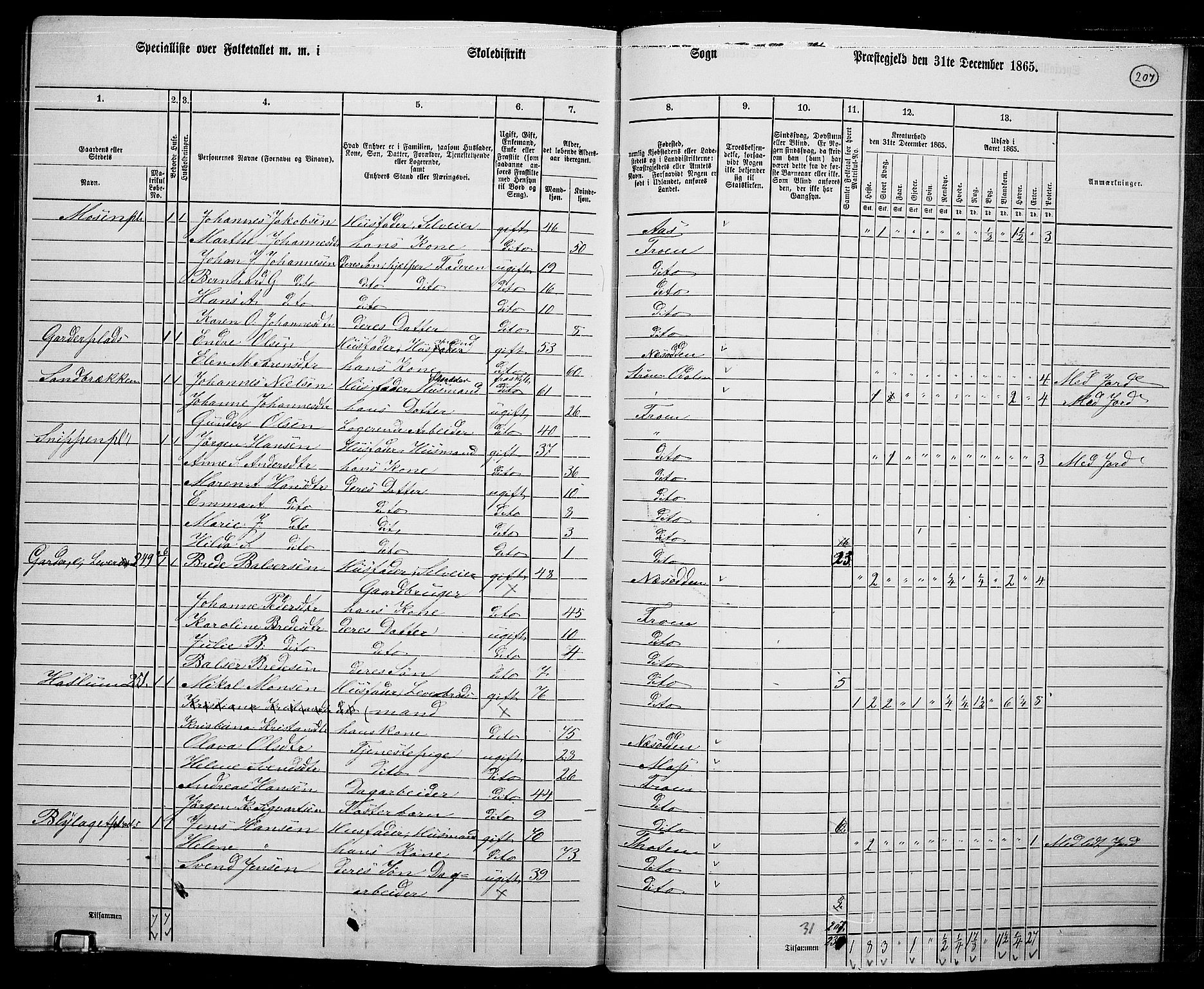 RA, 1865 census for Drøbak/Frogn, 1865, p. 61