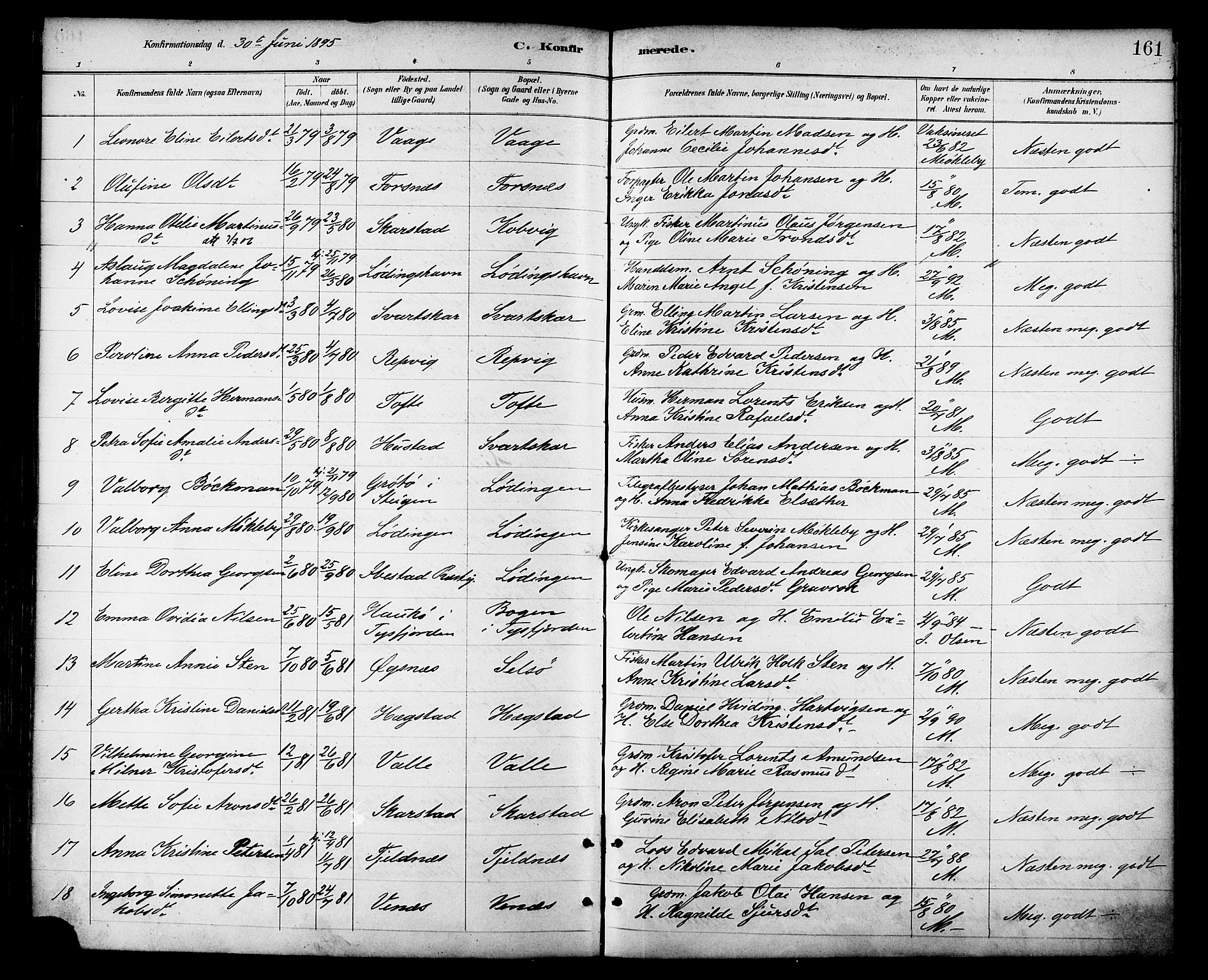 Ministerialprotokoller, klokkerbøker og fødselsregistre - Nordland, AV/SAT-A-1459/872/L1035: Parish register (official) no. 872A10, 1884-1896, p. 161