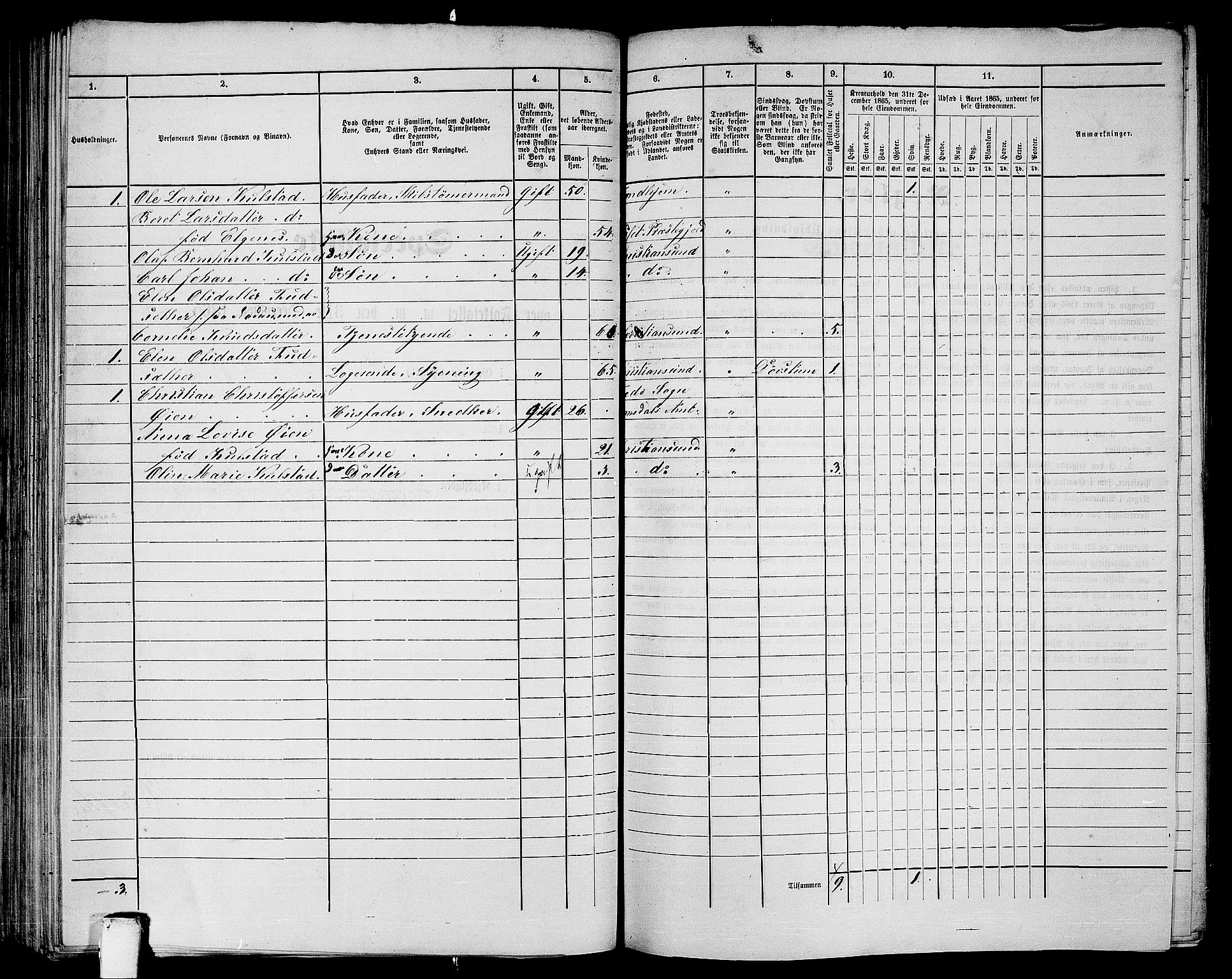 RA, 1865 census for Kristiansund/Kristiansund, 1865, p. 129