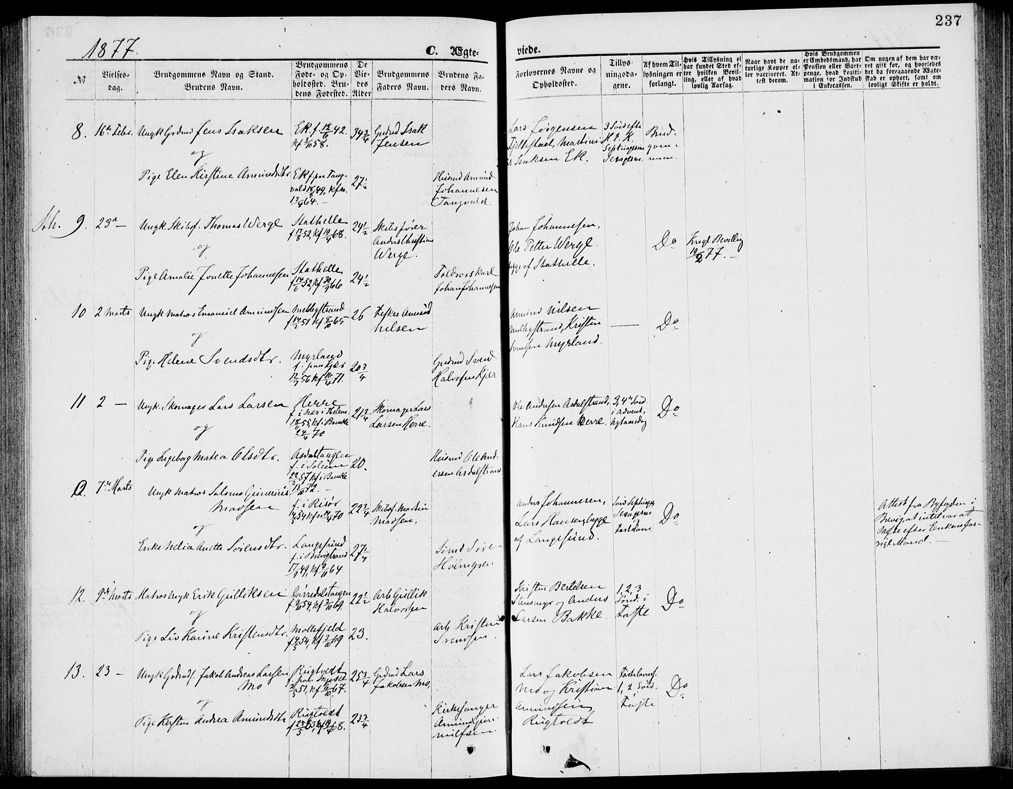 Bamble kirkebøker, AV/SAKO-A-253/G/Ga/L0007: Parish register (copy) no. I 7, 1876-1877, p. 237