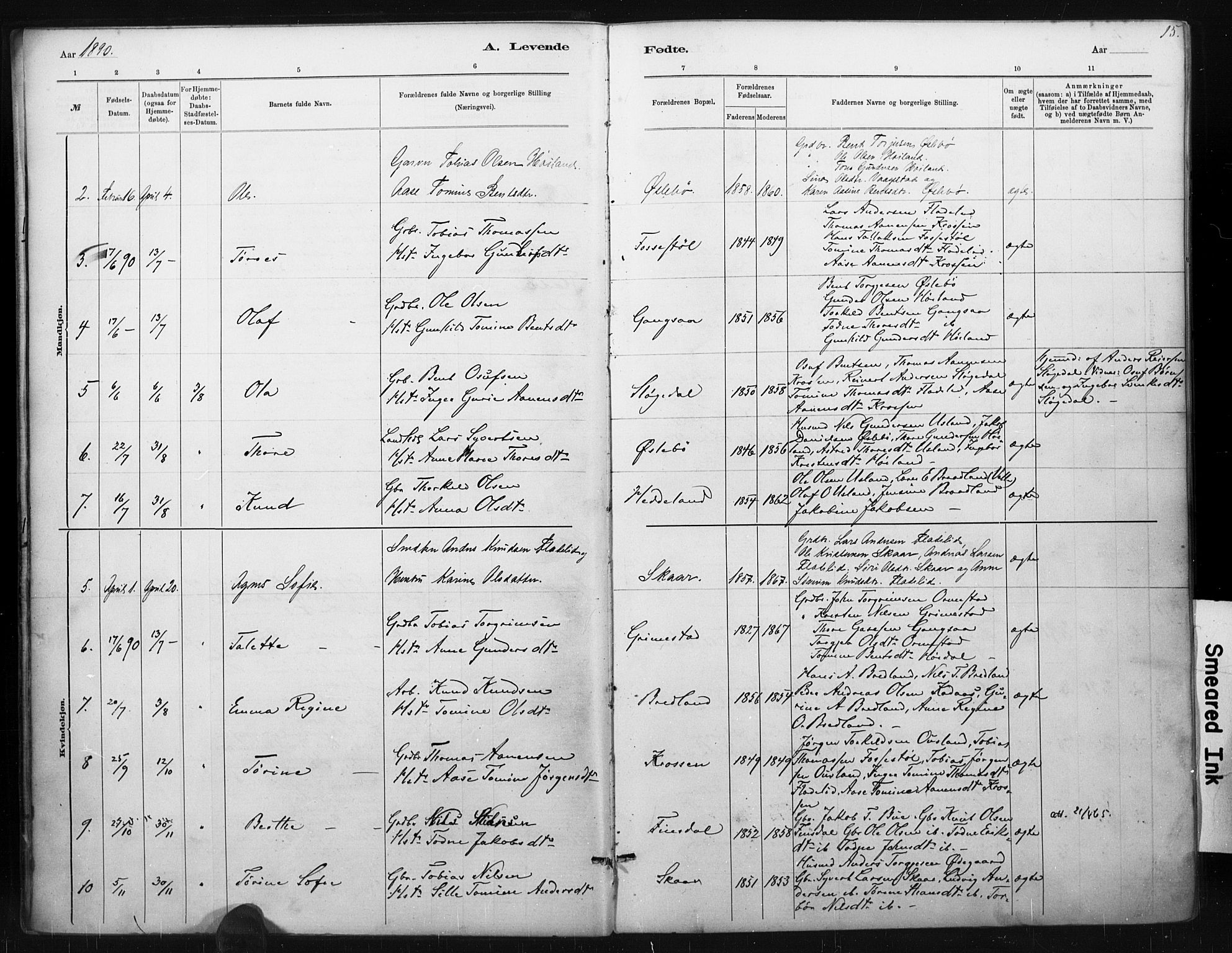 Holum sokneprestkontor, SAK/1111-0022/F/Fa/Fac/L0004: Parish register (official) no. A 4, 1884-1907, p. 15