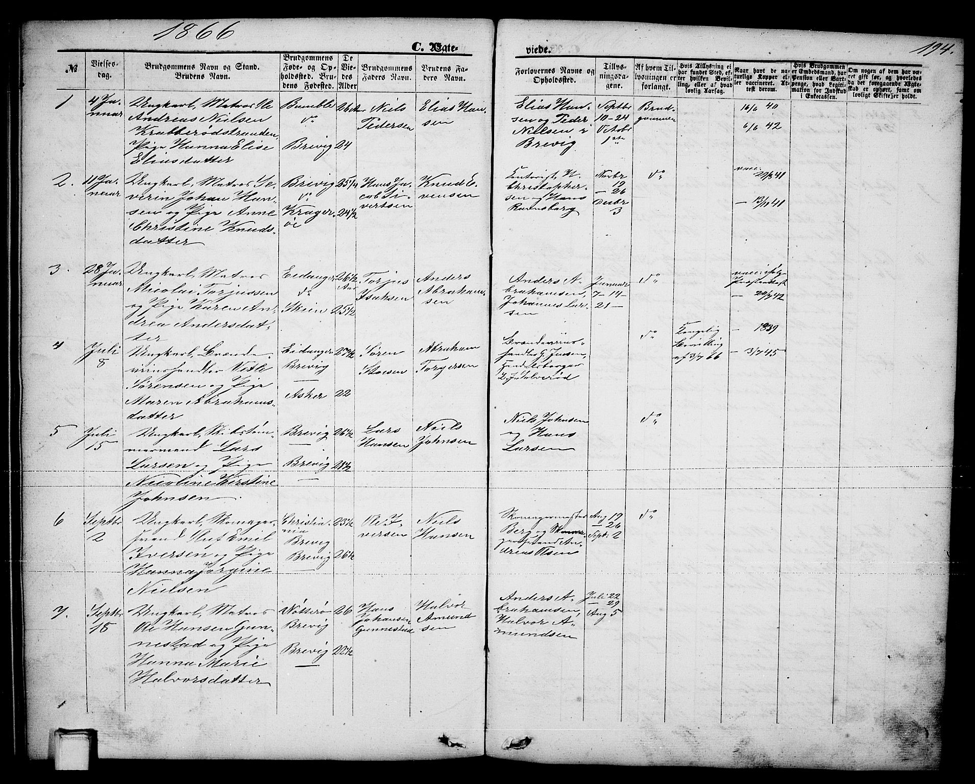 Brevik kirkebøker, AV/SAKO-A-255/G/Ga/L0003: Parish register (copy) no. 3, 1866-1881, p. 194