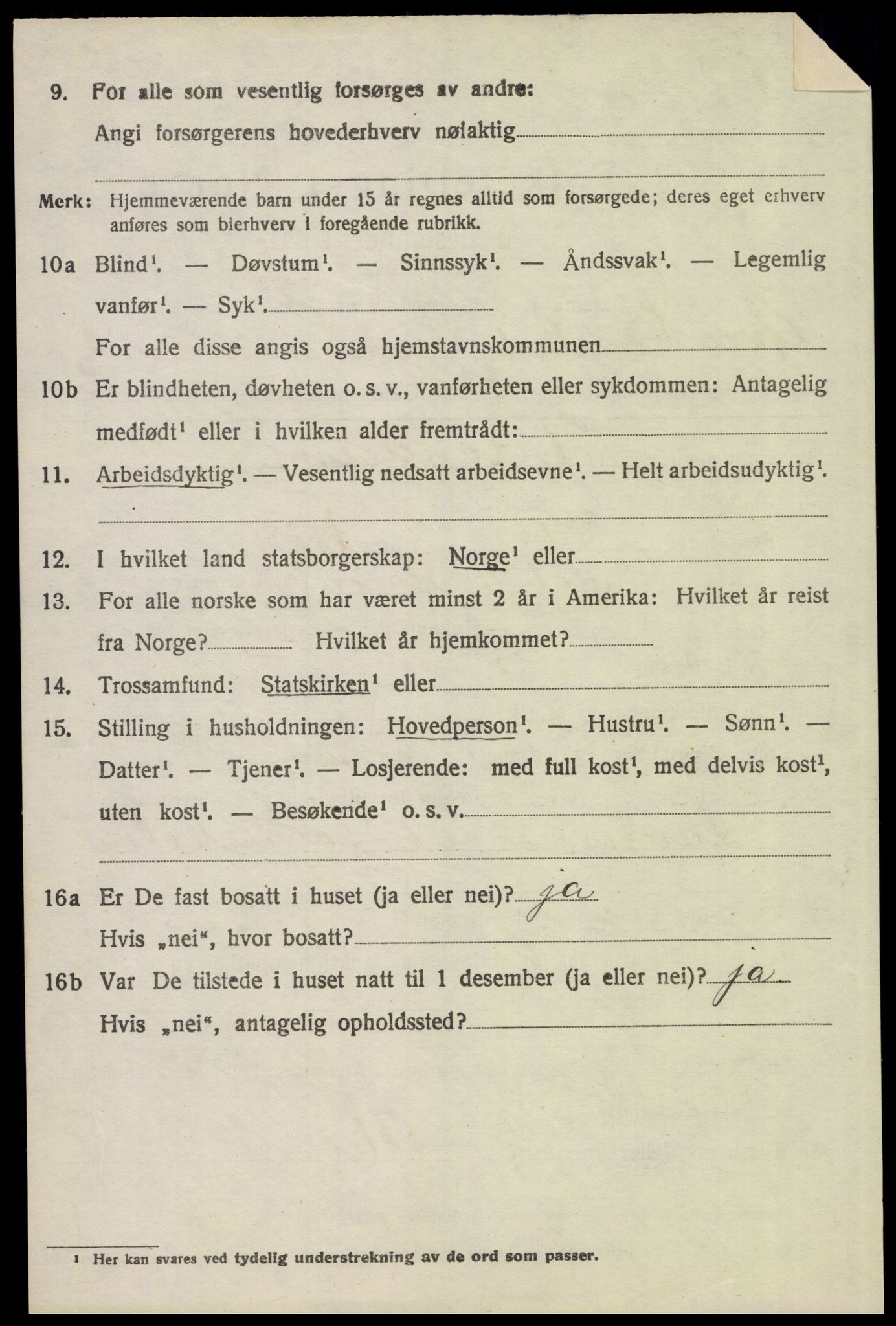 SAH, 1920 census for Øvre Rendal, 1920, p. 1300