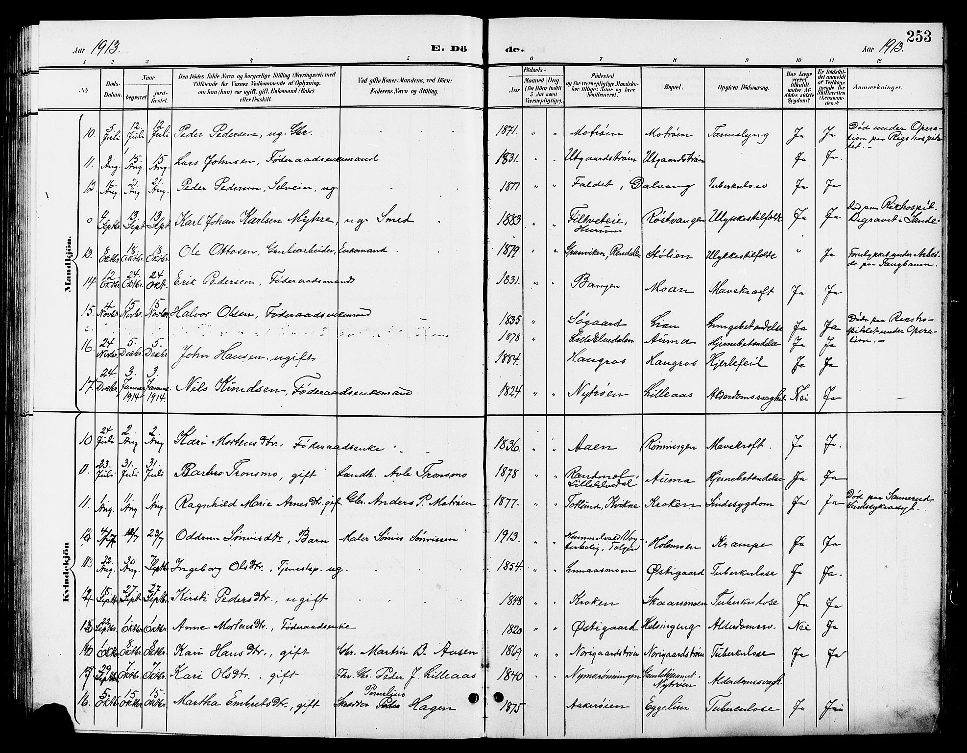 Tynset prestekontor, AV/SAH-PREST-058/H/Ha/Hab/L0009: Parish register (copy) no. 9, 1900-1914, p. 253