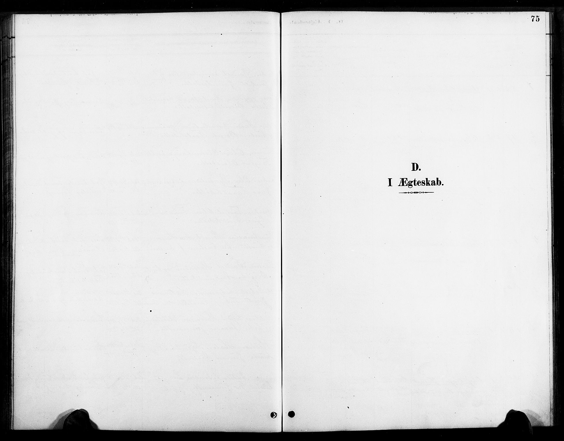 Bygland sokneprestkontor, SAK/1111-0006/F/Fa/Faa/L0001: Parish register (official) no. A 1, 1885-1908, p. 75