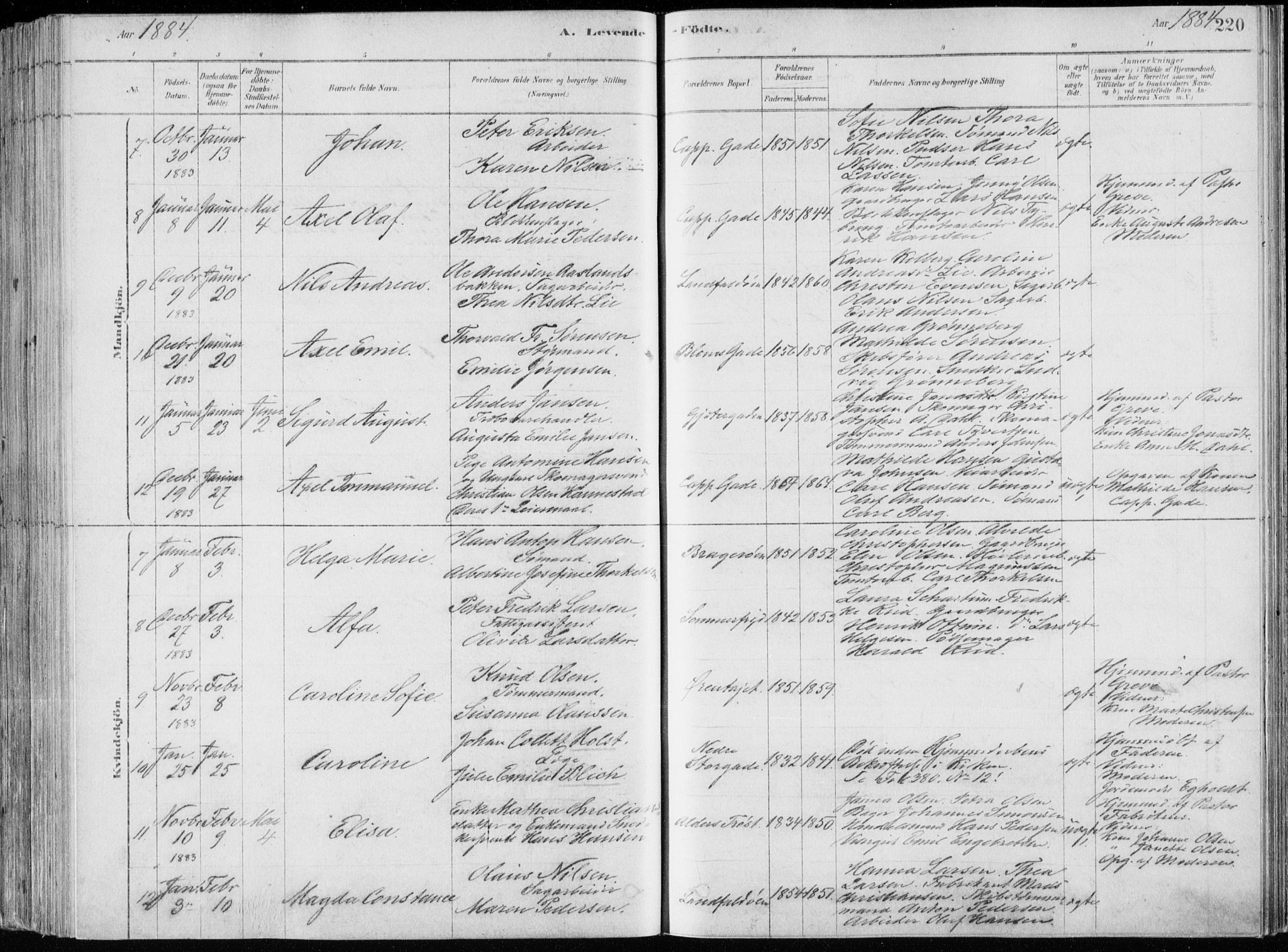 Bragernes kirkebøker, SAKO/A-6/F/Fb/L0006a: Parish register (official) no. II 6A, 1878-1885, p. 220