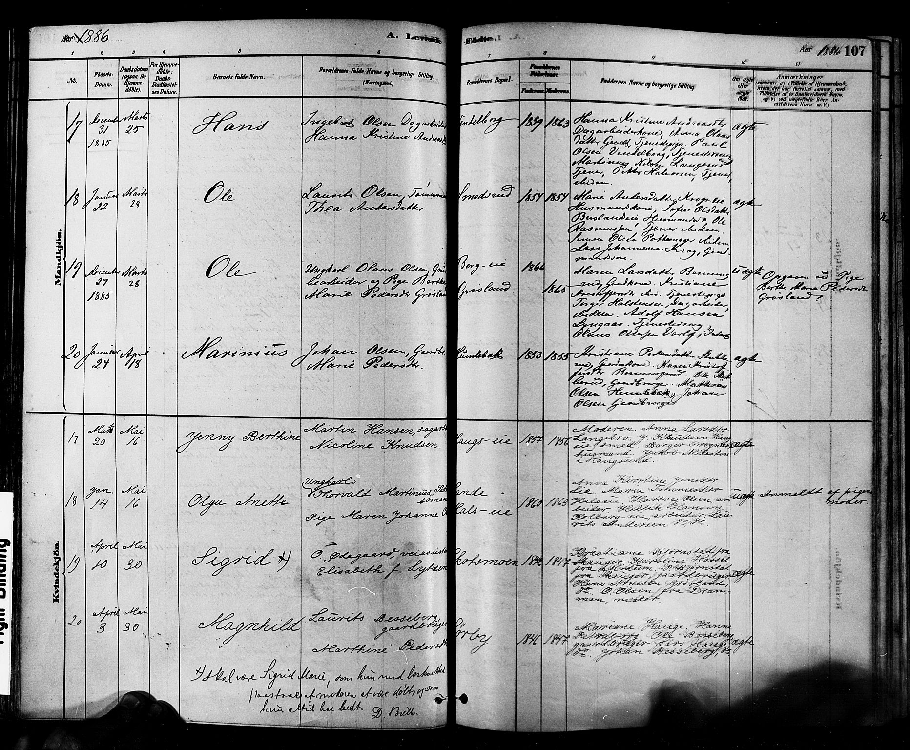 Eiker kirkebøker, AV/SAKO-A-4/F/Fb/L0001: Parish register (official) no. II 1, 1878-1888, p. 107