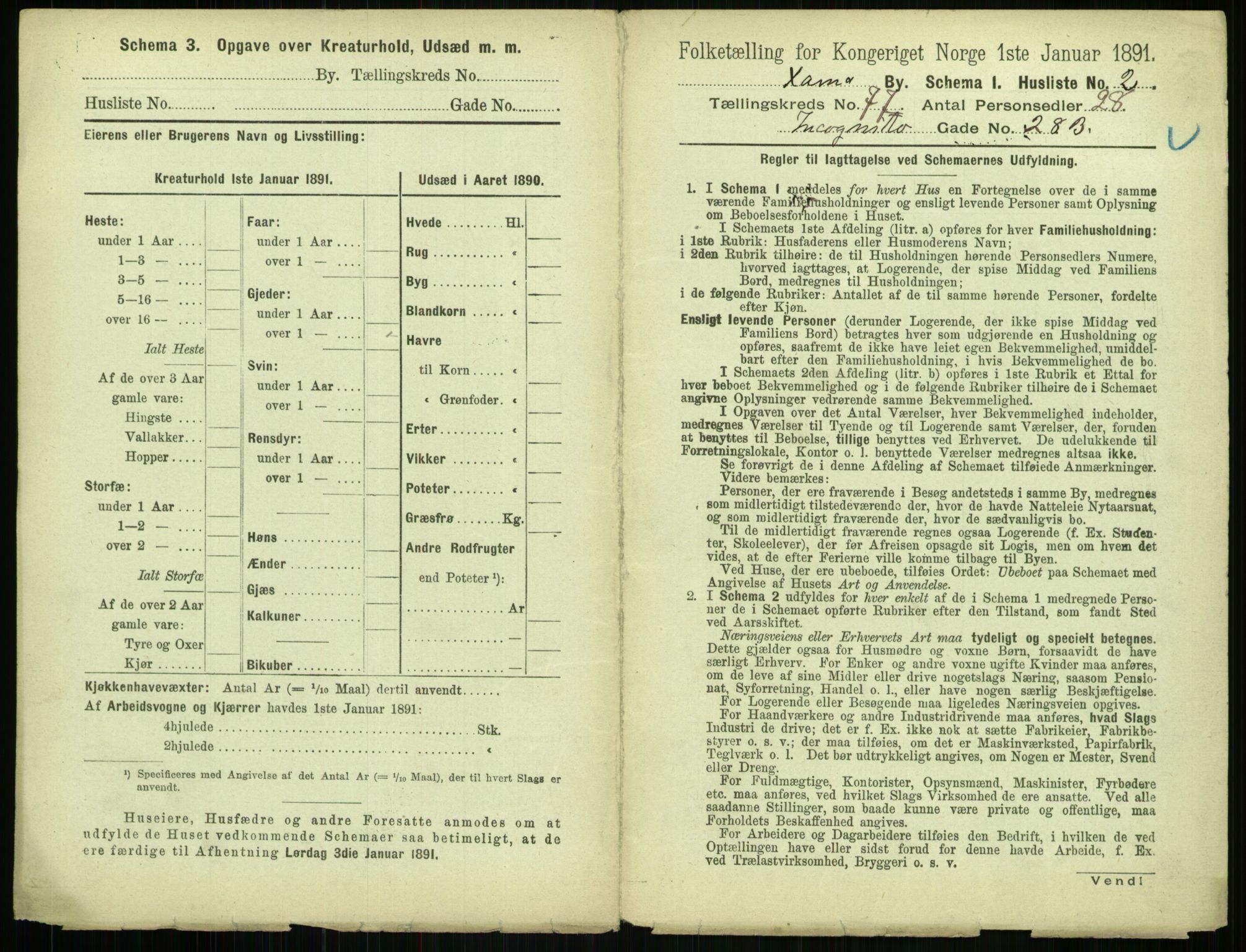 RA, 1891 census for 0301 Kristiania, 1891, p. 40541