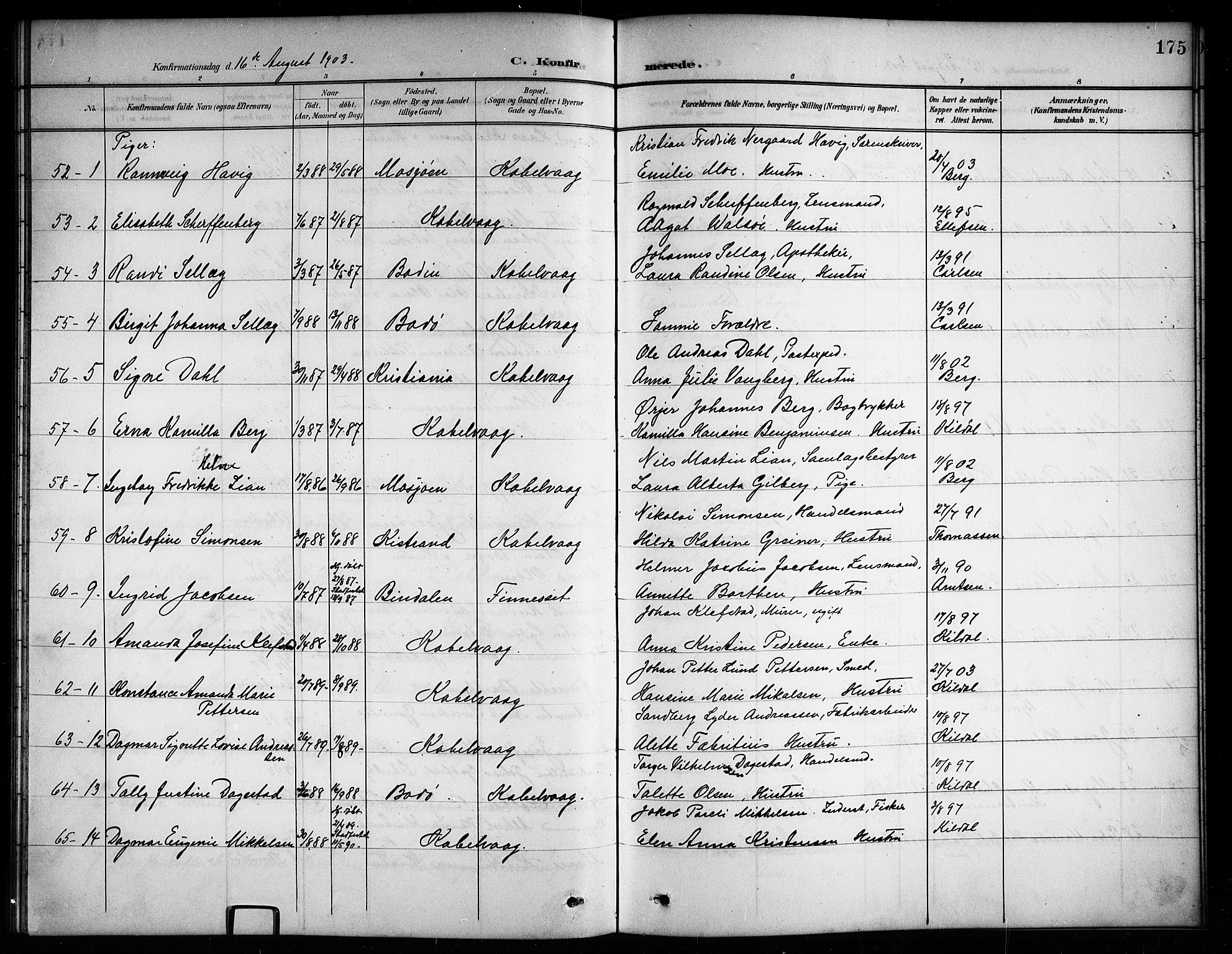 Ministerialprotokoller, klokkerbøker og fødselsregistre - Nordland, AV/SAT-A-1459/874/L1078: Parish register (copy) no. 874C07, 1900-1907, p. 175