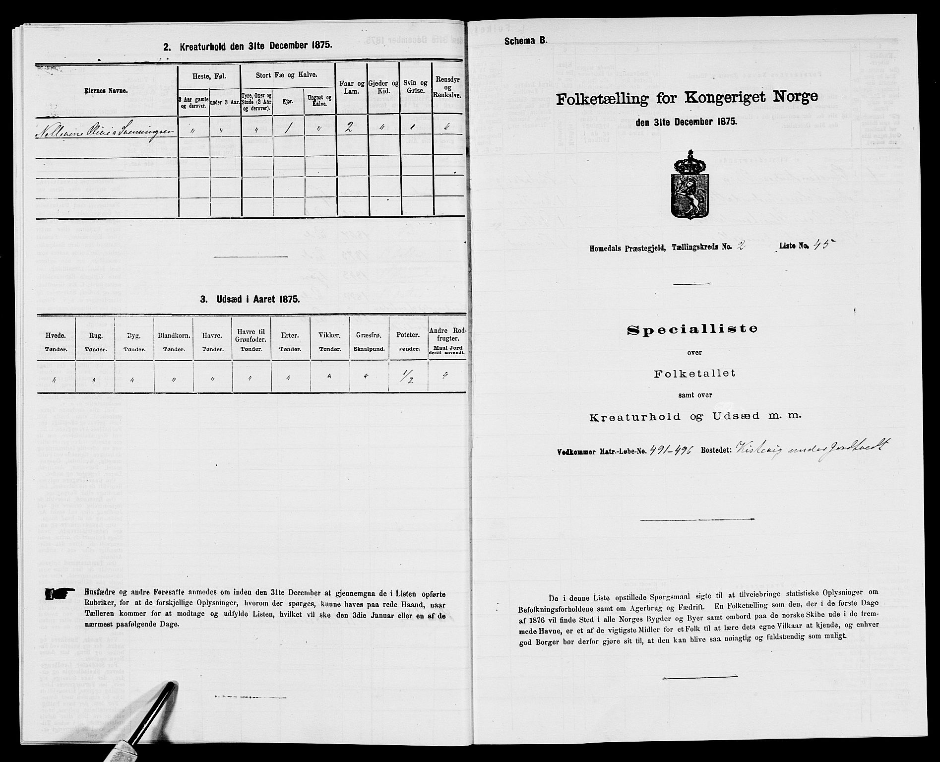 SAK, 1875 census for 0924P Homedal, 1875, p. 220