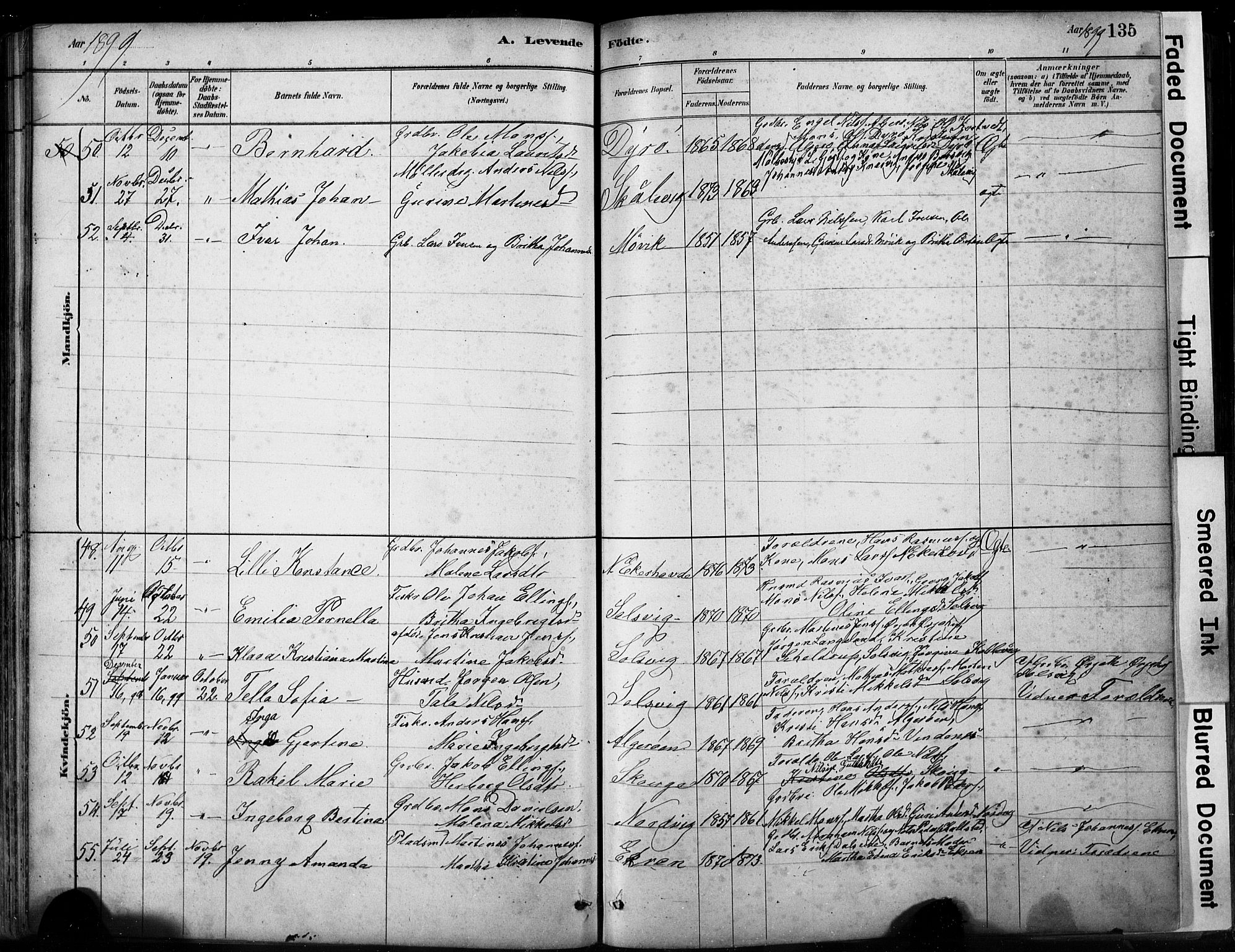 Fjell sokneprestembete, AV/SAB-A-75301/H/Hab: Parish register (copy) no. A 4, 1880-1899, p. 135