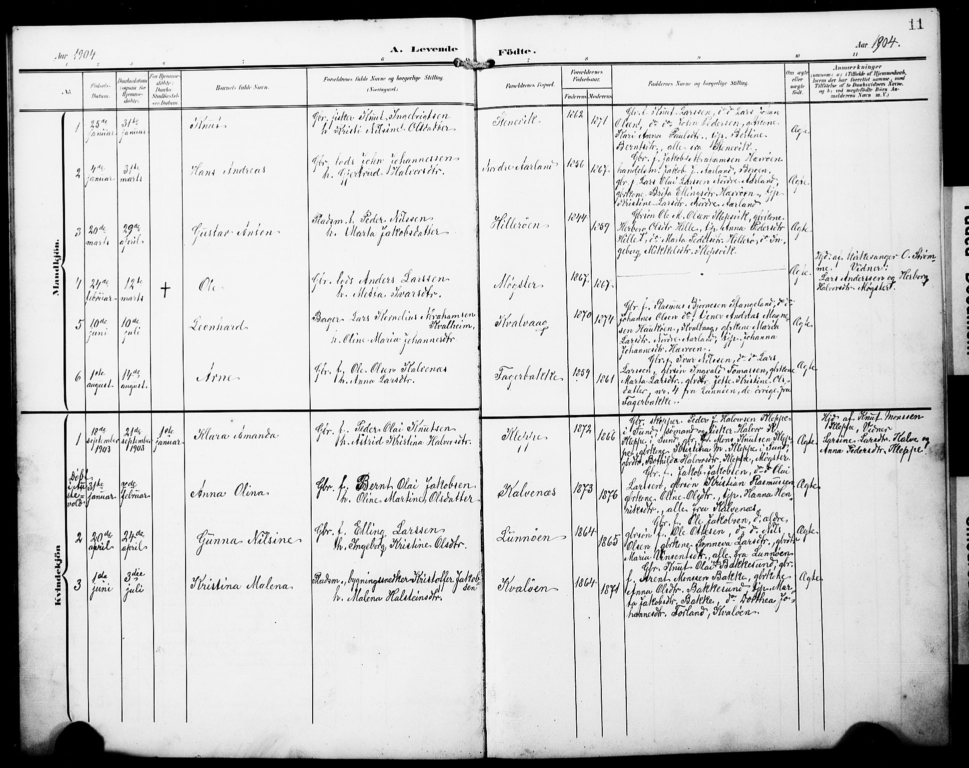 Austevoll Sokneprestembete, SAB/A-74201/H/Hab: Parish register (copy) no. B 5, 1902-1910, p. 11