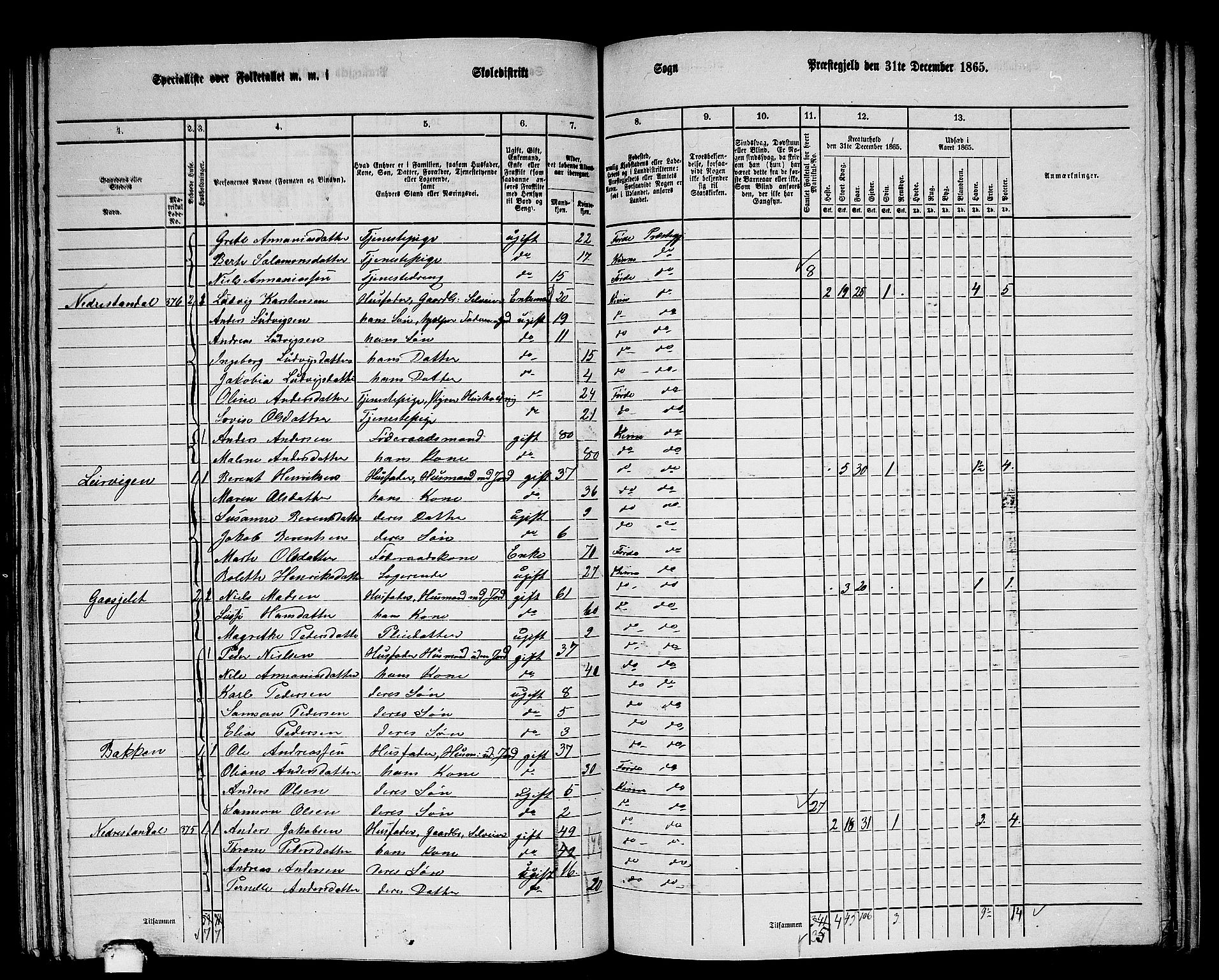 RA, 1865 census for Kinn, 1865, p. 181