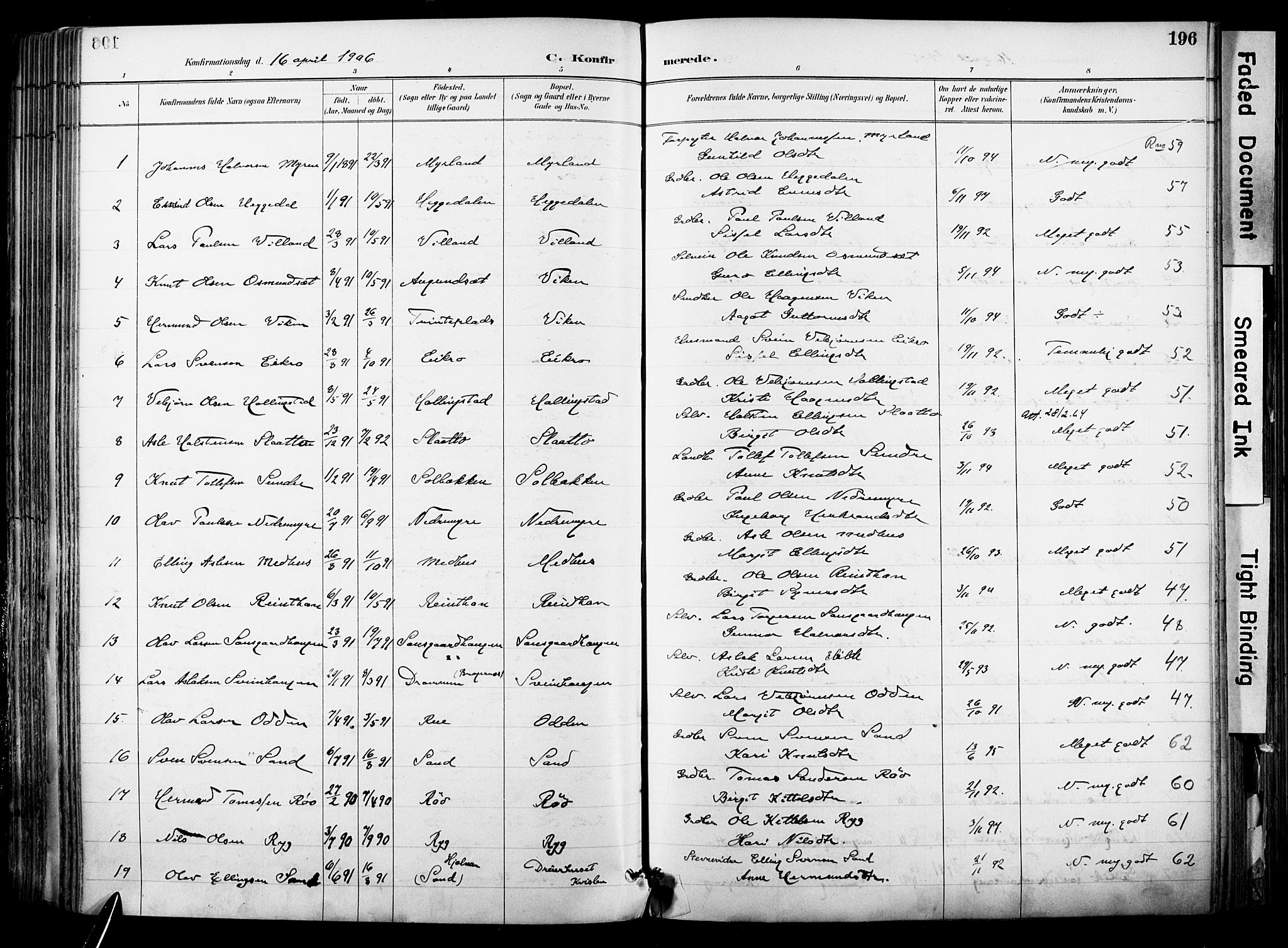 Hol kirkebøker, AV/SAKO-A-227/F/Fa/L0003: Parish register (official) no. I 3, 1887-1918, p. 196