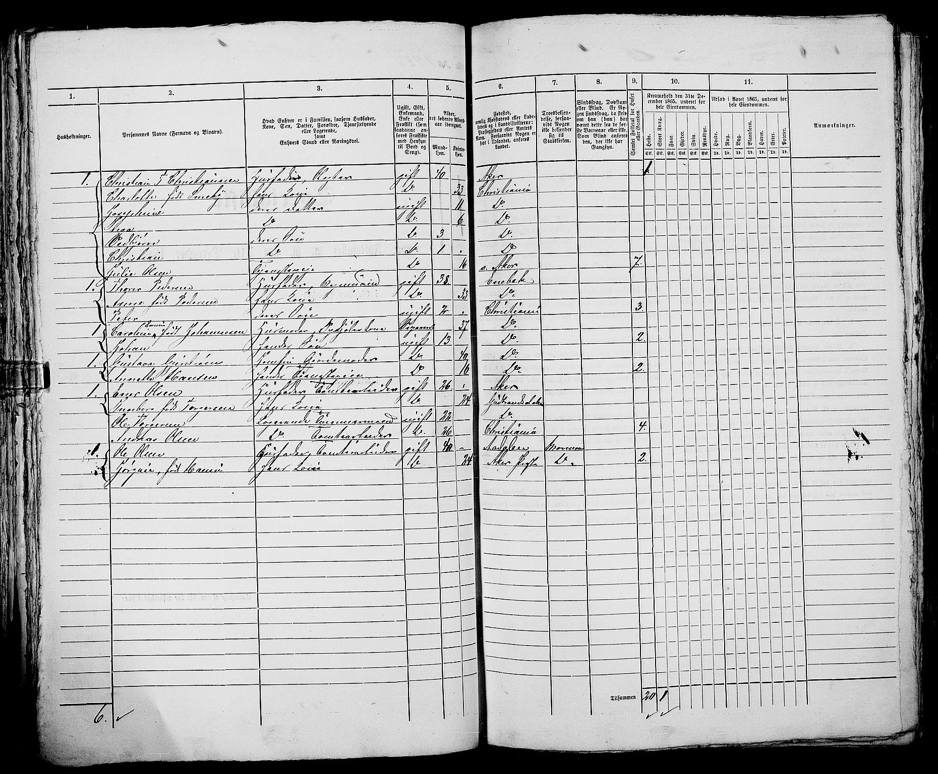 RA, 1865 census for Kristiania, 1865, p. 3245