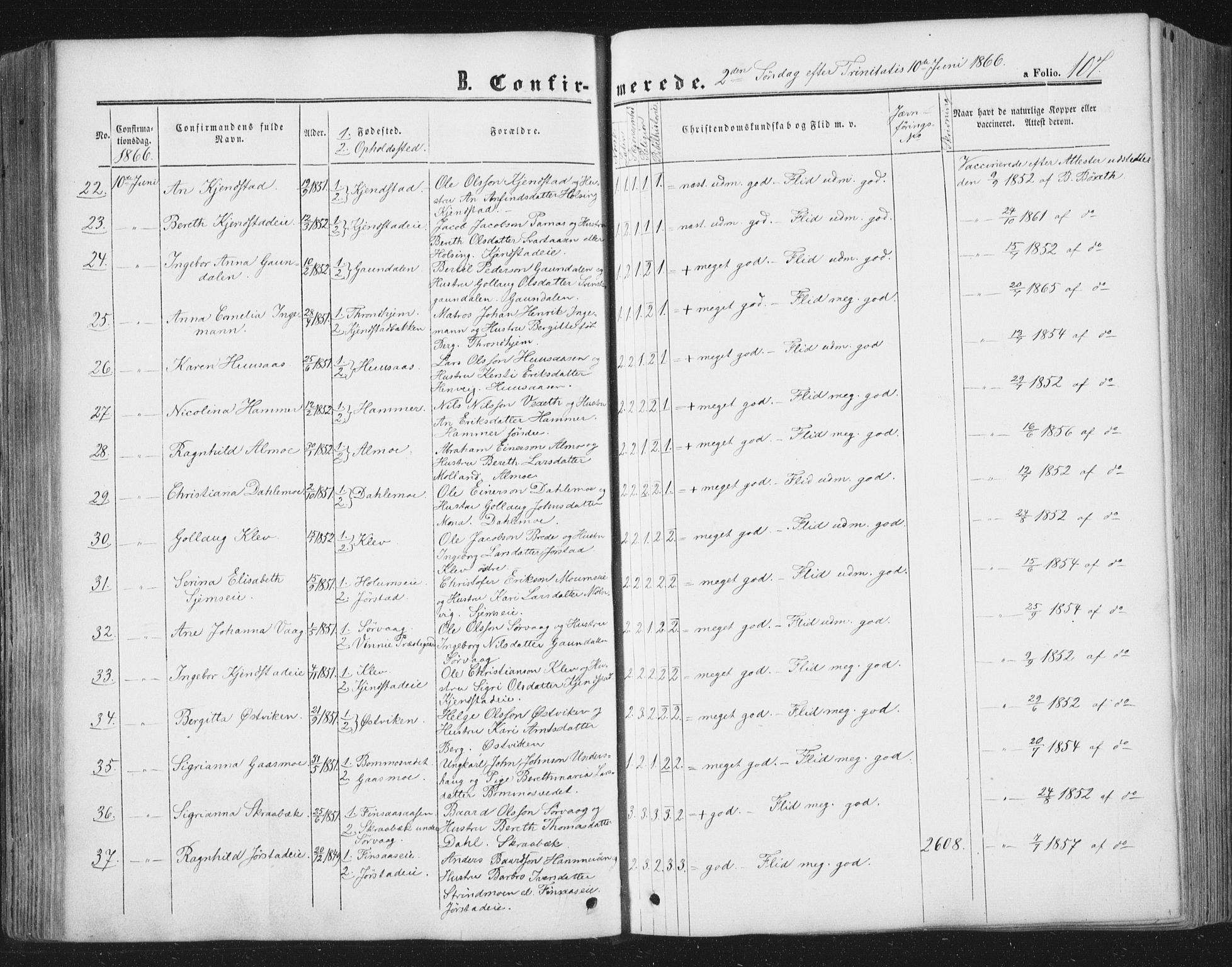 Ministerialprotokoller, klokkerbøker og fødselsregistre - Nord-Trøndelag, SAT/A-1458/749/L0472: Parish register (official) no. 749A06, 1857-1873, p. 107