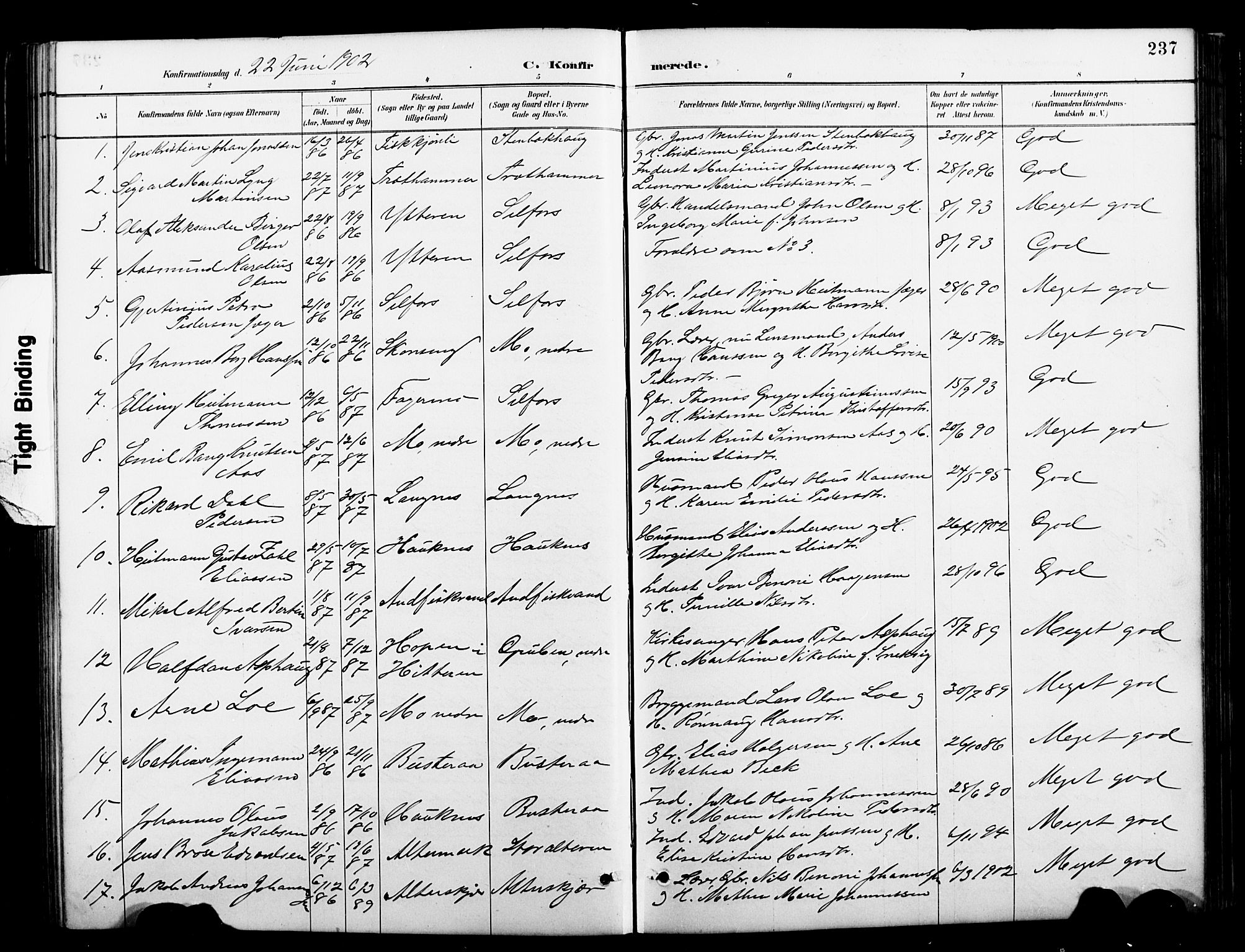 Ministerialprotokoller, klokkerbøker og fødselsregistre - Nordland, SAT/A-1459/827/L0421: Parish register (copy) no. 827C10, 1887-1906, p. 237